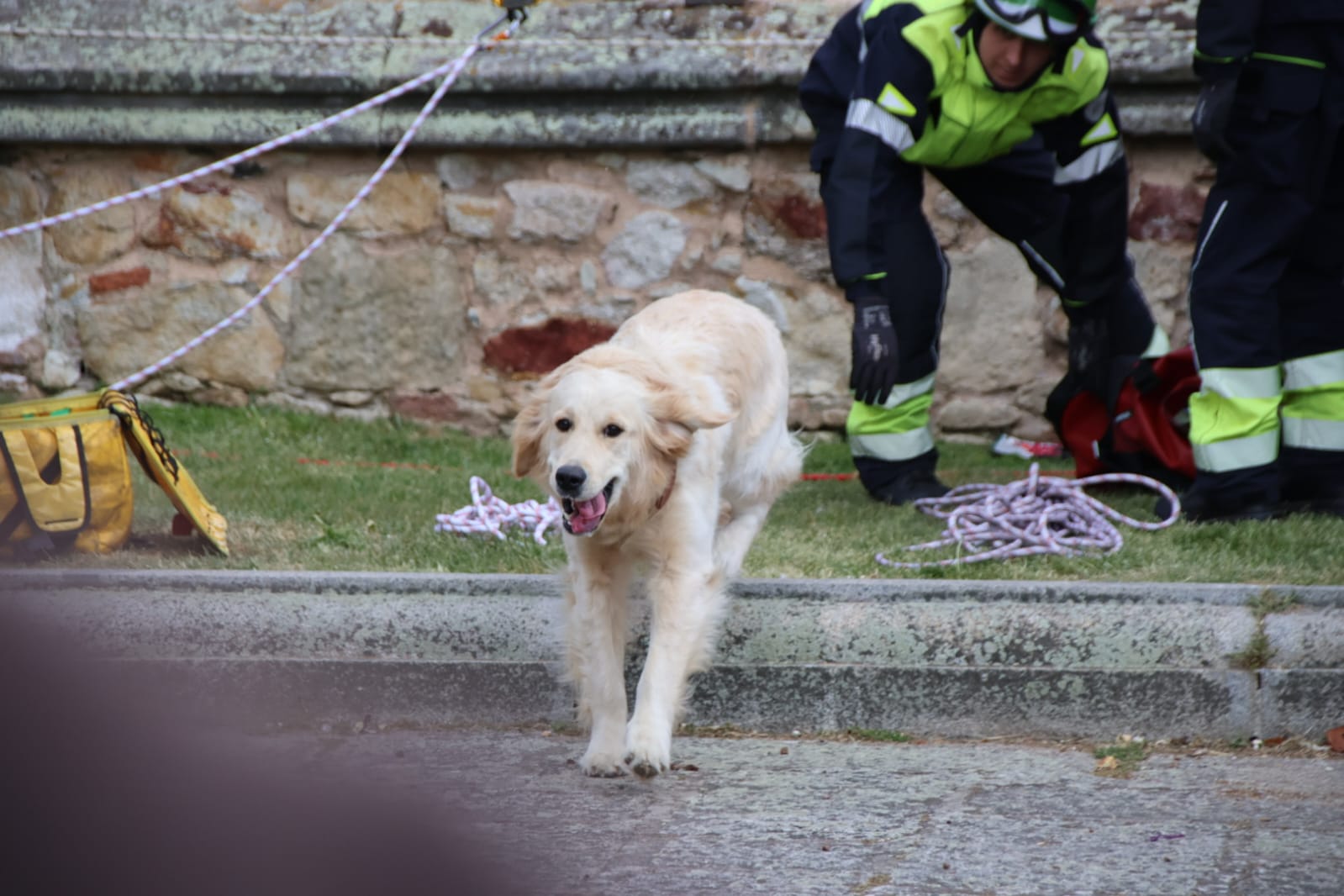 Los bomberos rescatan a un perro en el Jardín Botánico de Salamanca. Fotos Andrea M.  (3)