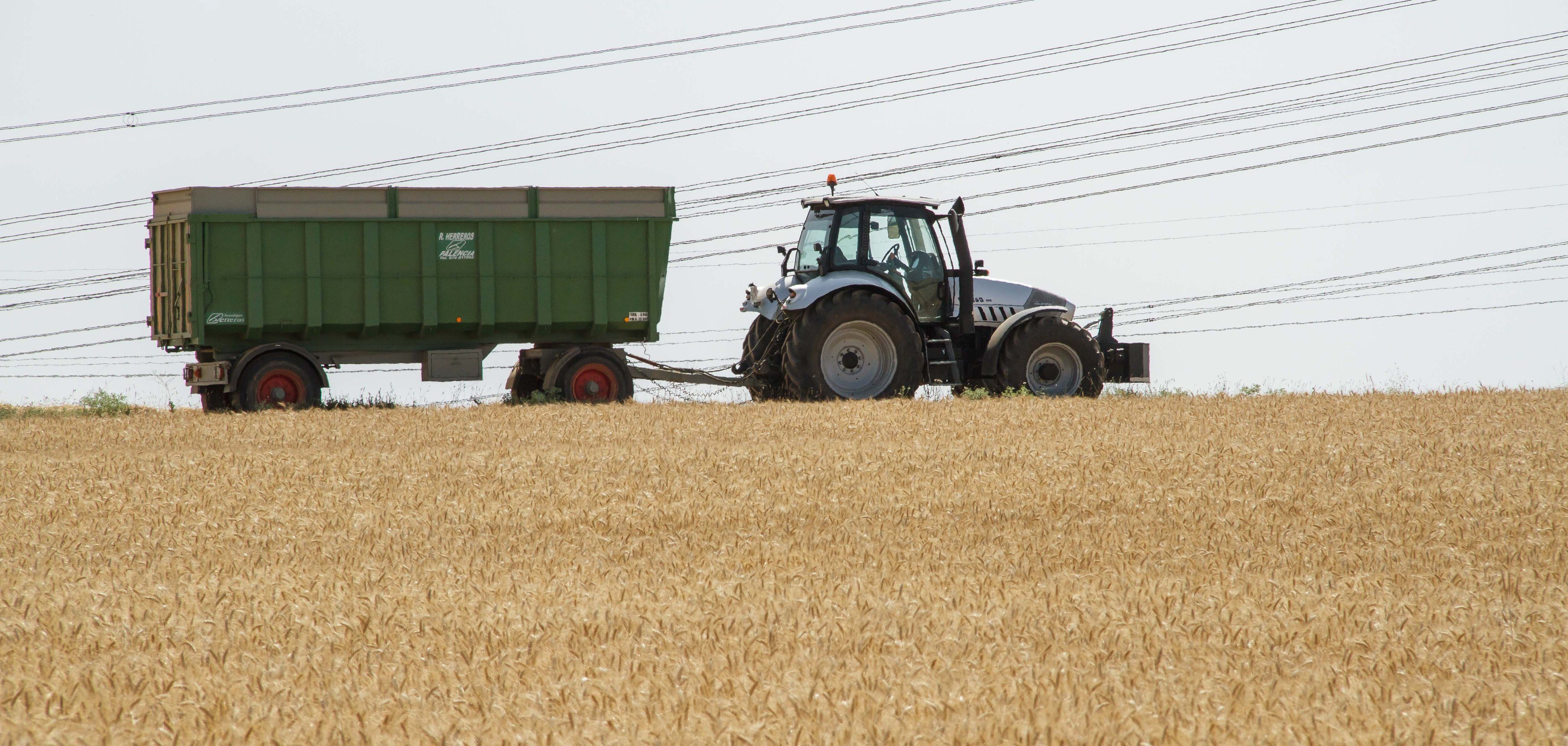 Agricultura.