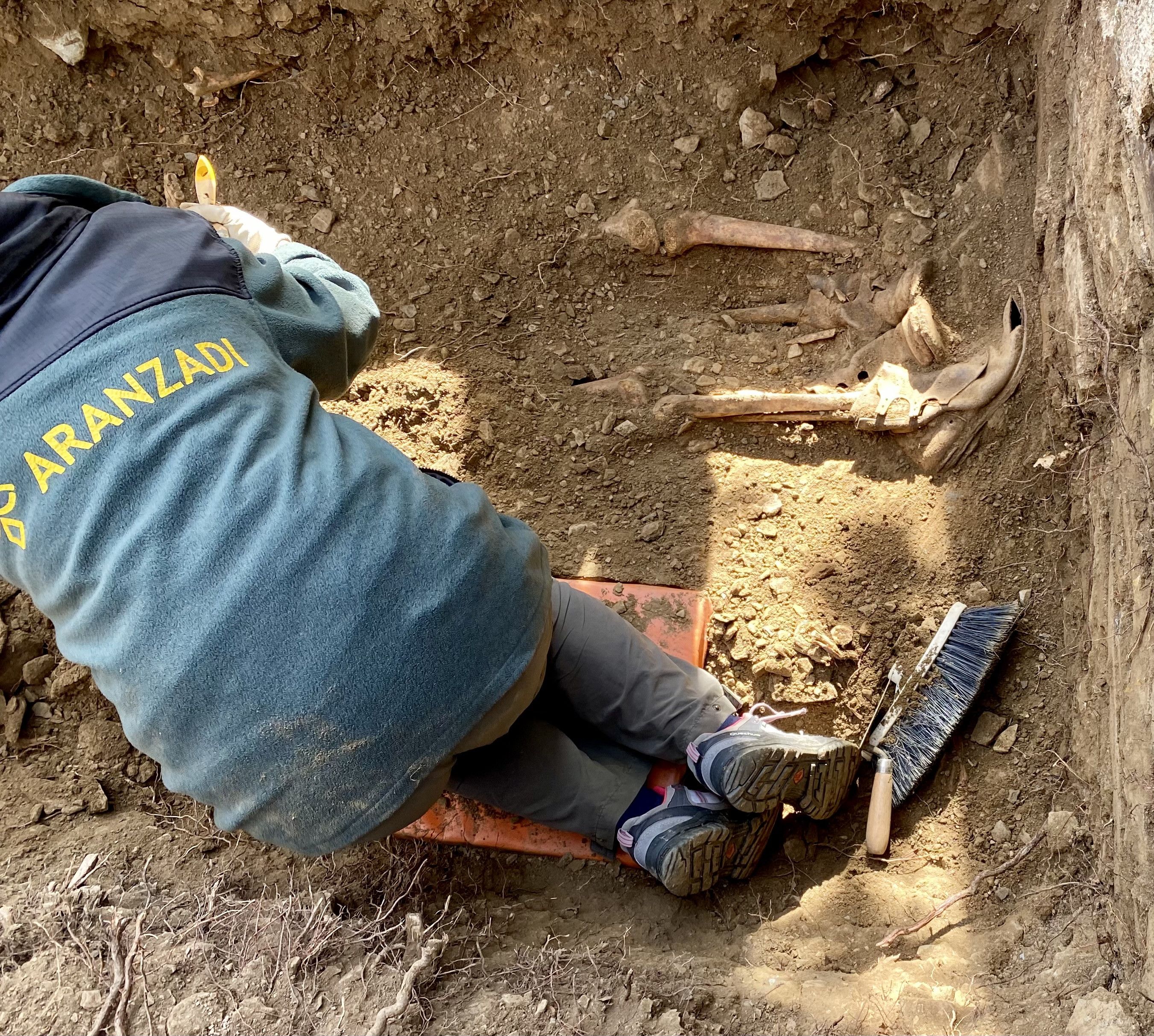 Localizan los restos de siete personas enterradas en 1936 en una fosa común en el cementerio de Castillejo de Martín Viejo