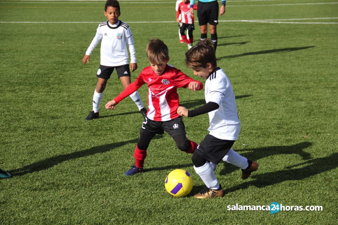 El Salamanca CF UDS podrá inscribir a sus prebenjamines