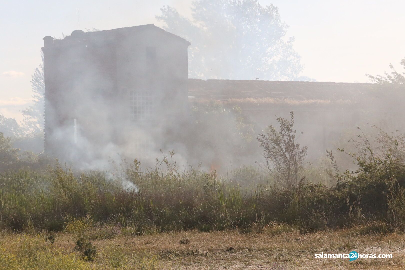 Incendios en la Isla del Soto y la carretera de Nuevo Naharros