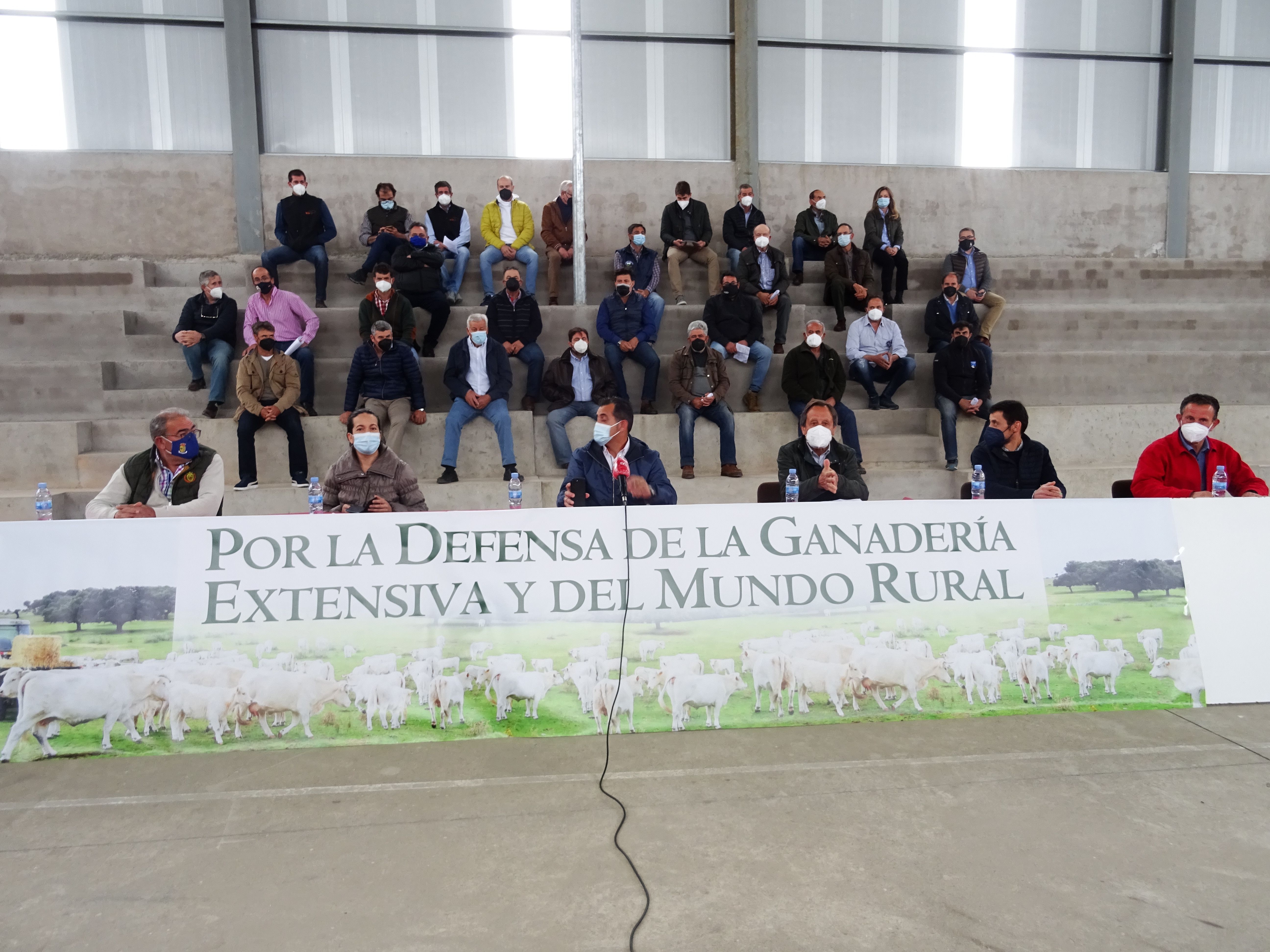 Los ganaderos de la comarca de Vitigudino afectados por la tuberculosis piden diálogo a la Junta y la defensa de la ganadería extensiva