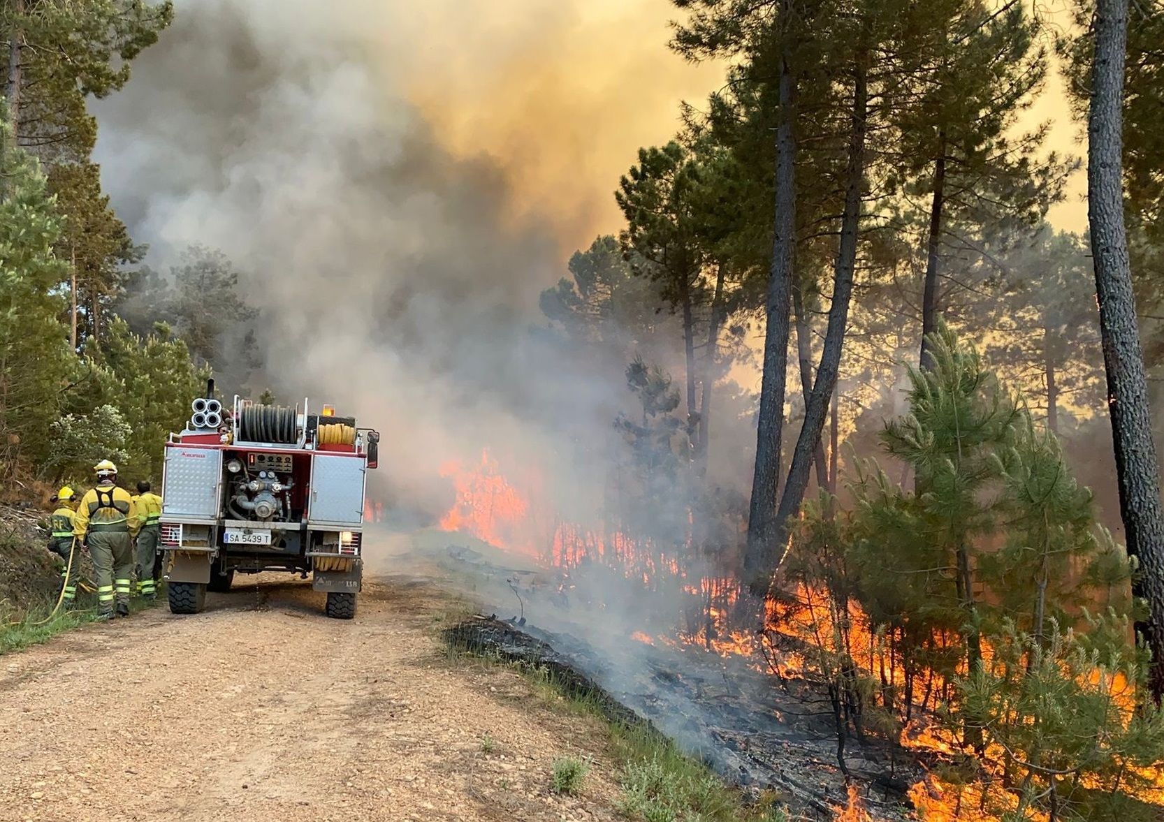 Trabajos de extinción del incendio de Serradilla del Arroyo. | FOTO: SUBDELEGACIÓN DEL GOBIERNO