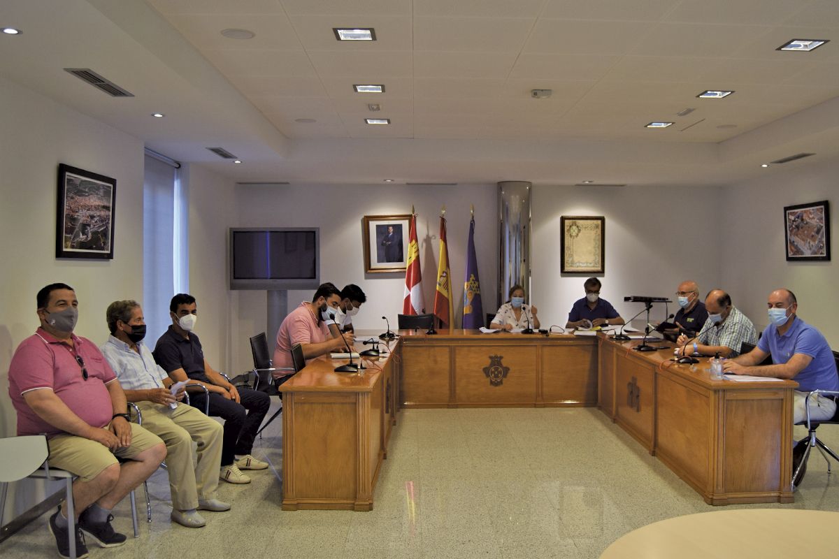 Un momento del pleno de la Mancomunidad de municipios de la comarca de Peñaranda