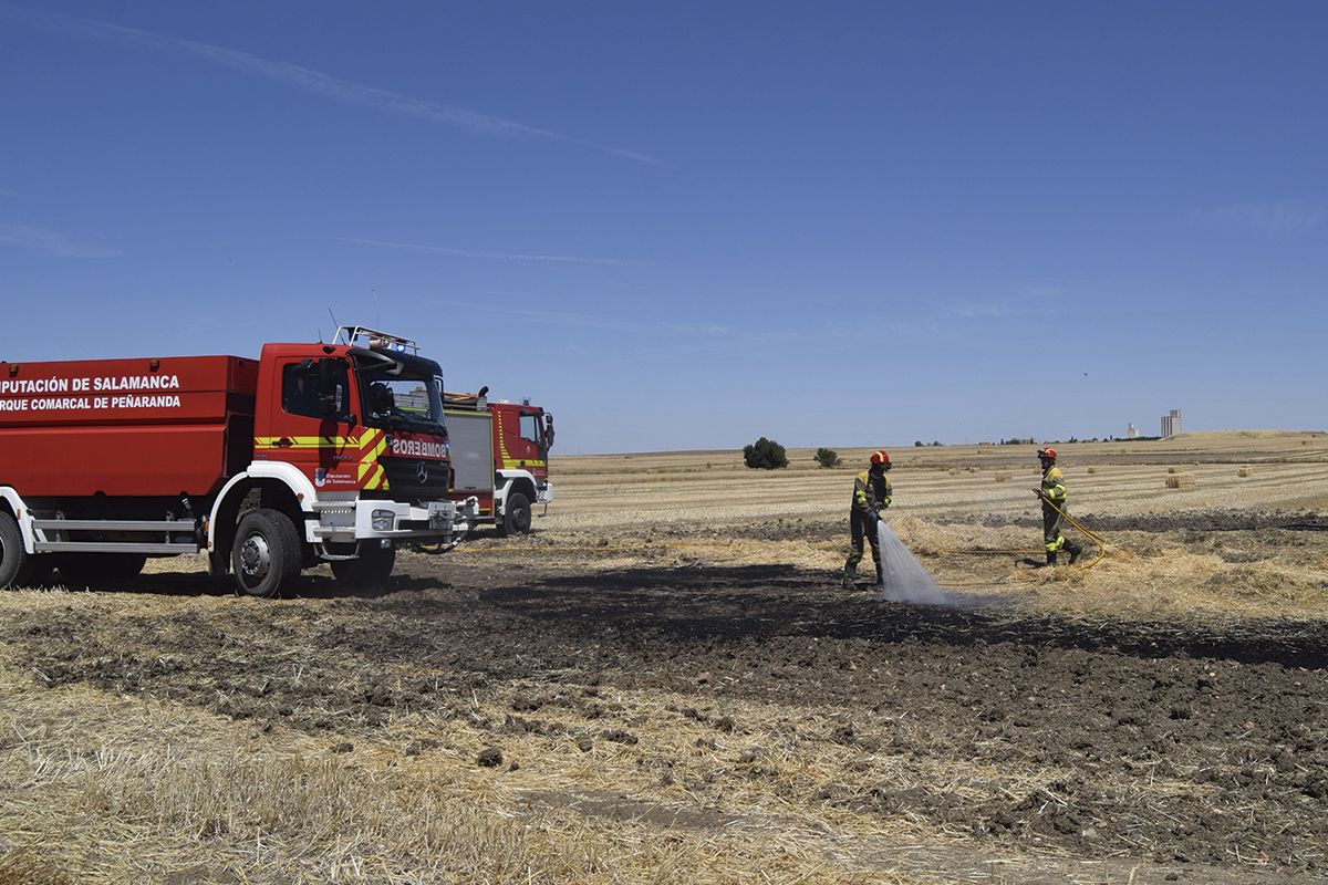 Las dos dotaciones de los bomberos de Peñaranda sofocando el fuego en una parcela en Bóveda del Rio Almar.