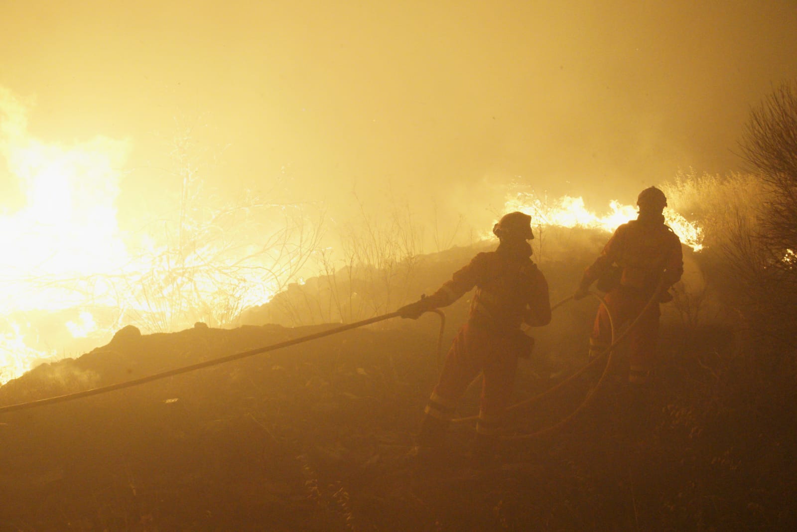 Incendio del Tiemblo | Foto: UME