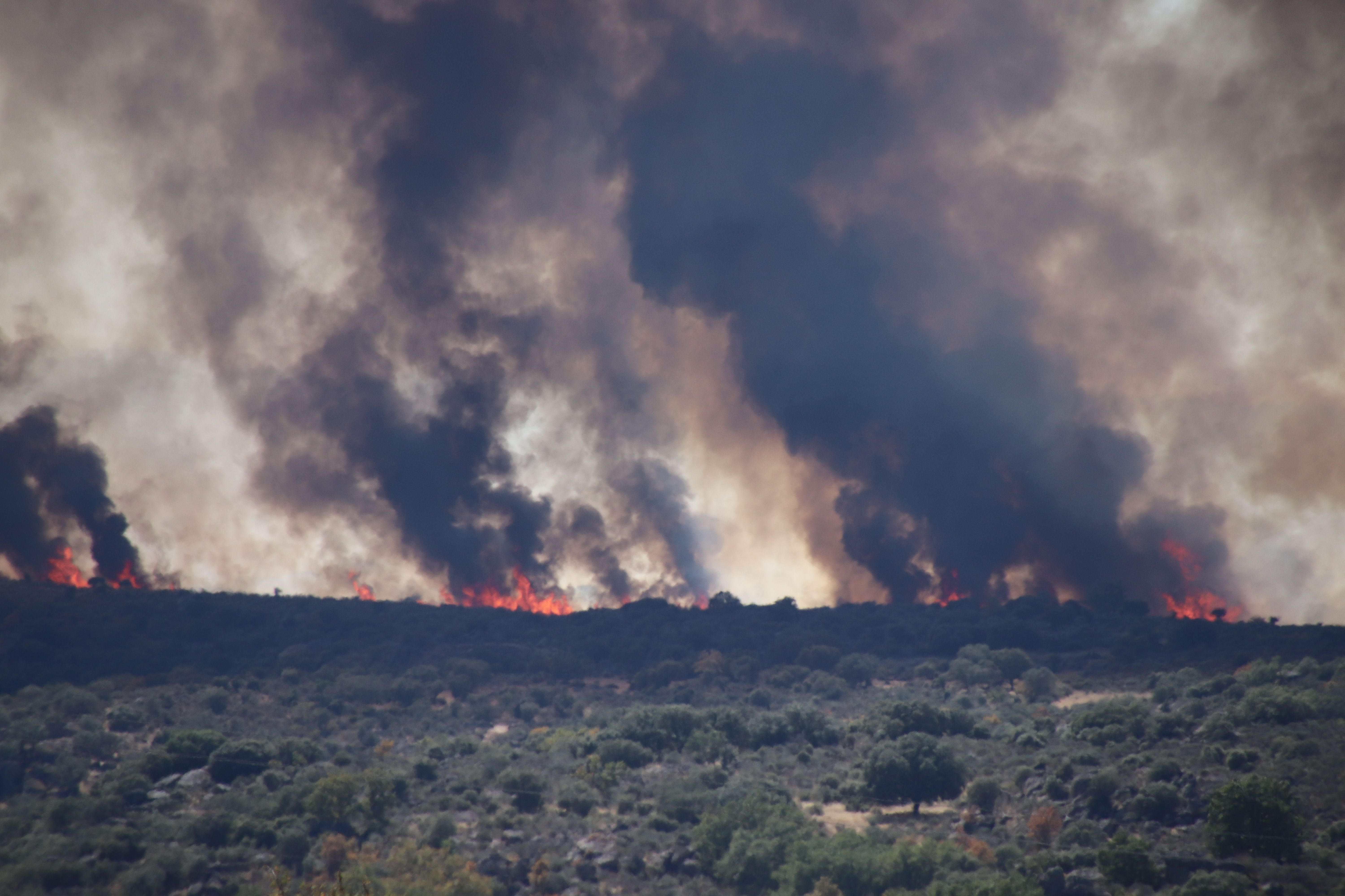 Imagen del último incendio en San Felices de los Gallegos