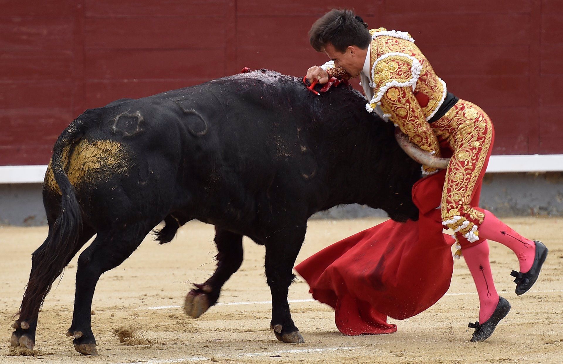 Una corrida de toros. | EP