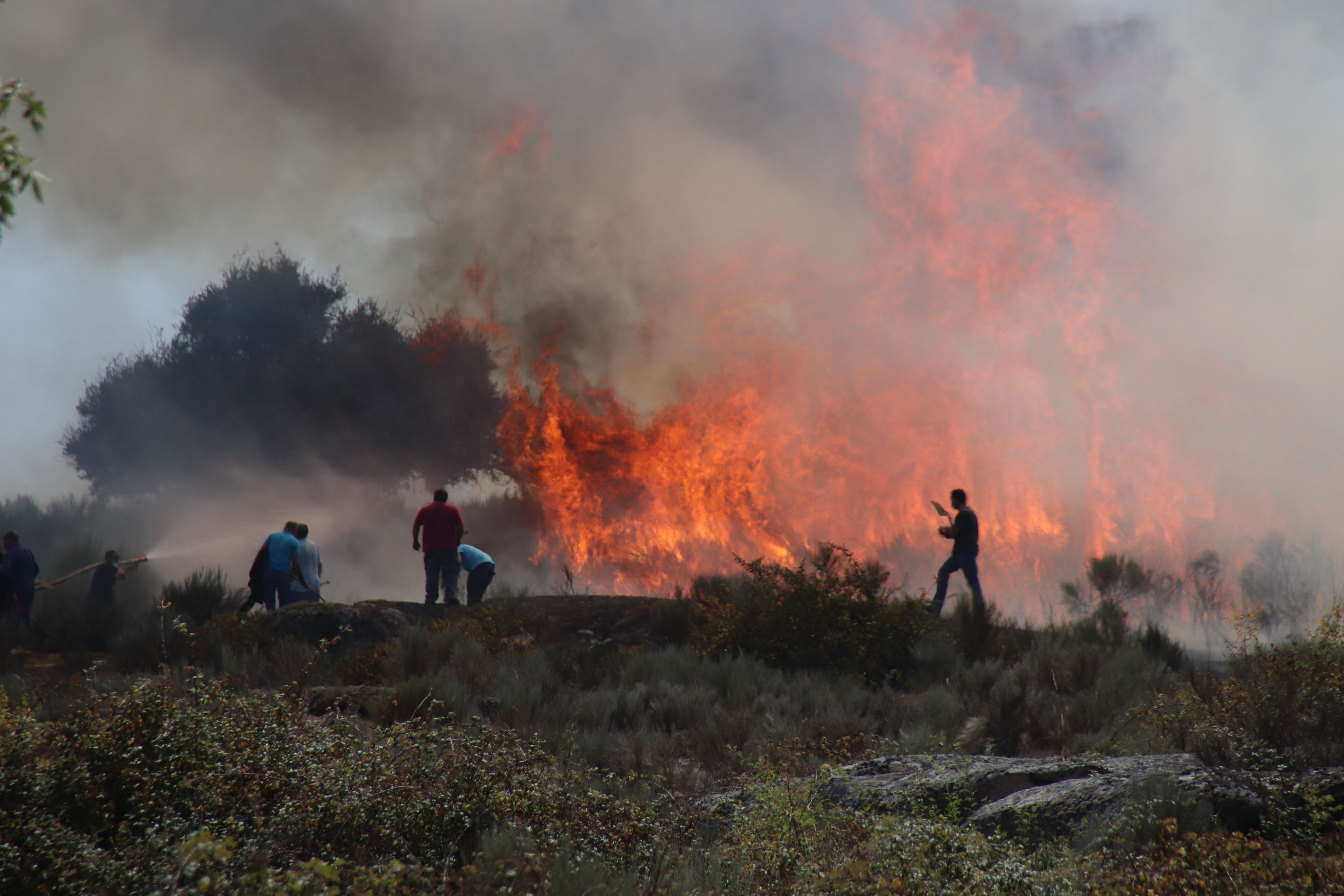 Reactivación del incendio en San Felices de los Gallegos