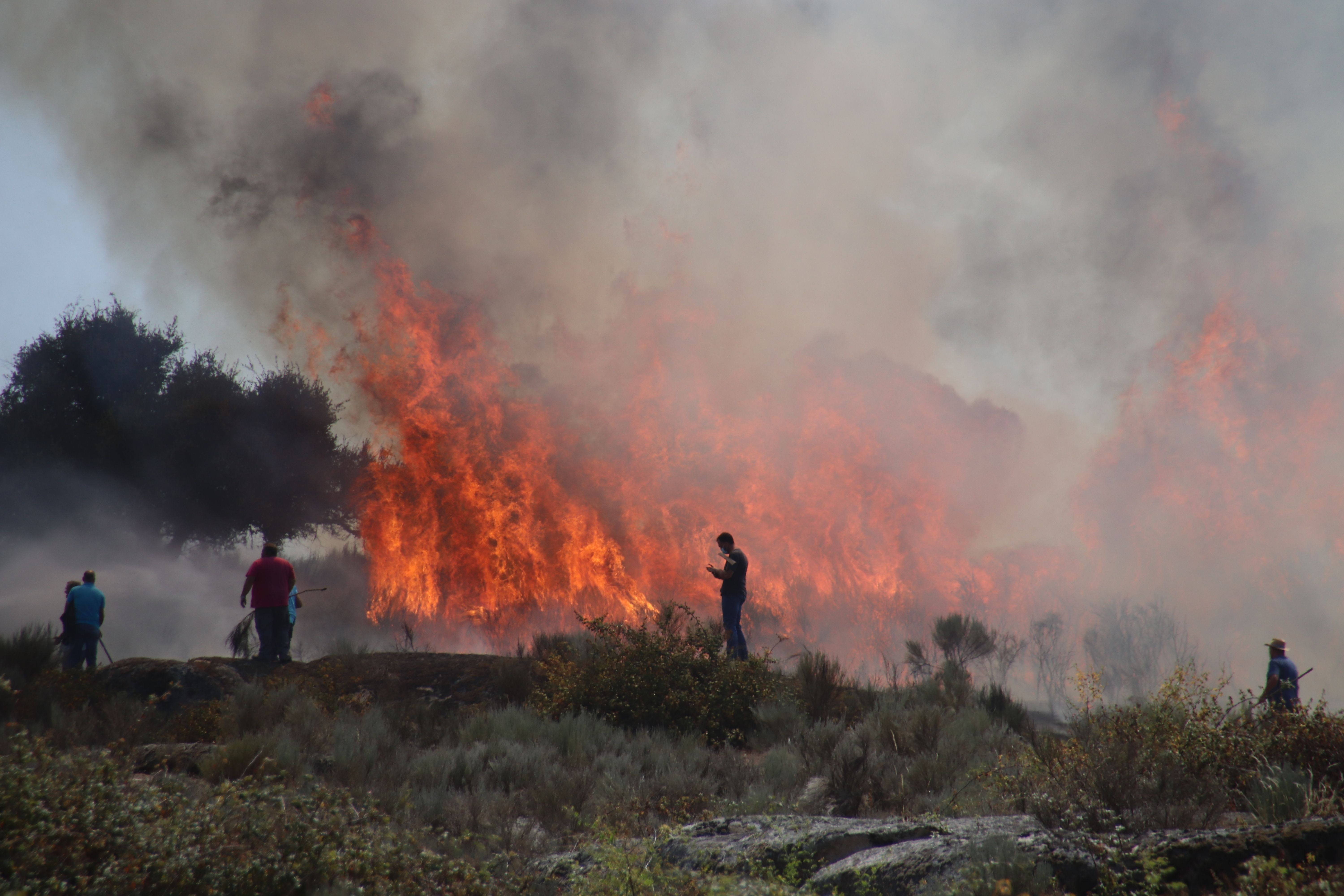 Una de las reactivaciones del incendio en San Felices de los Gallegos