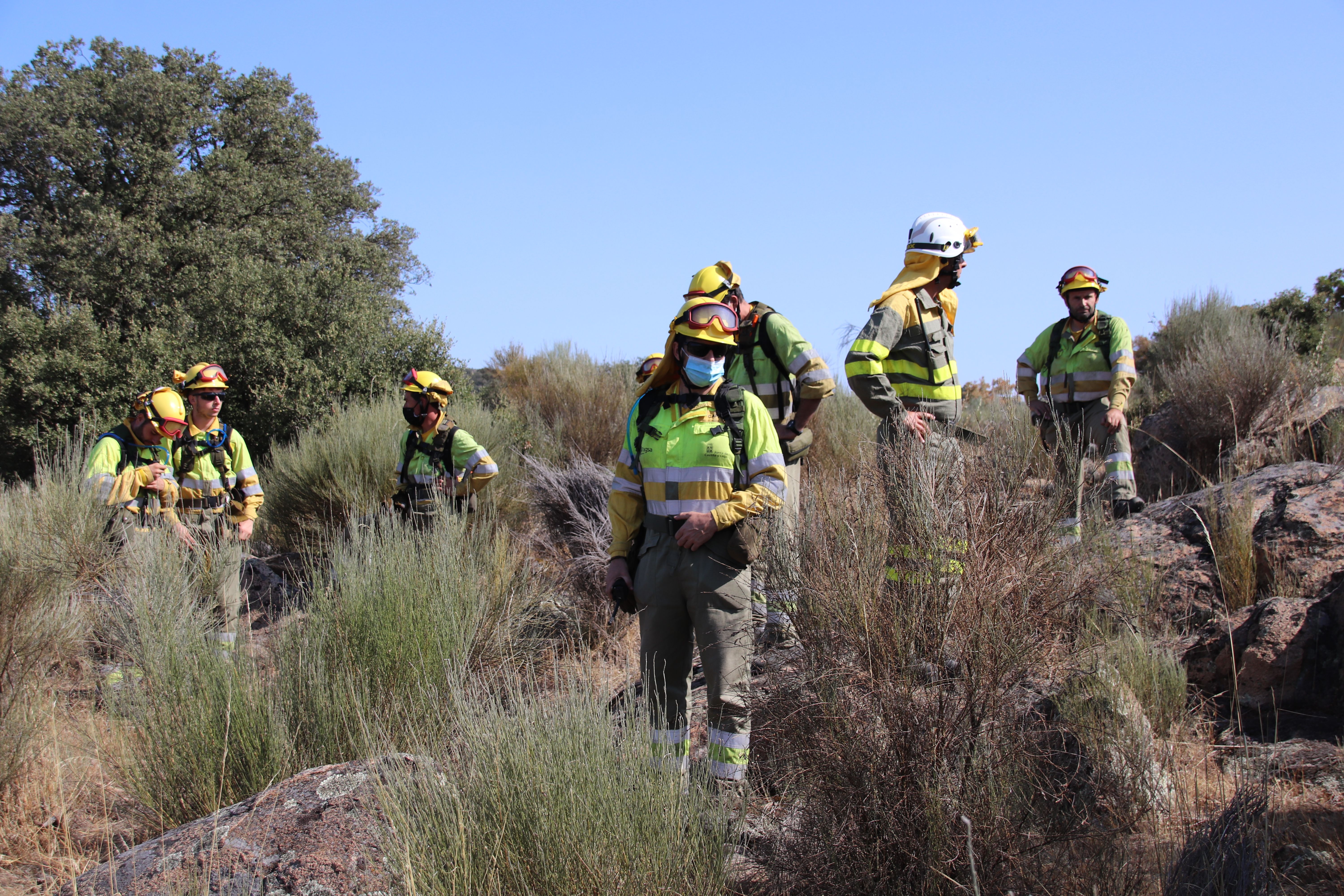 Labores de perimetraje y remate en el incendio de San Felices de los Gallegos