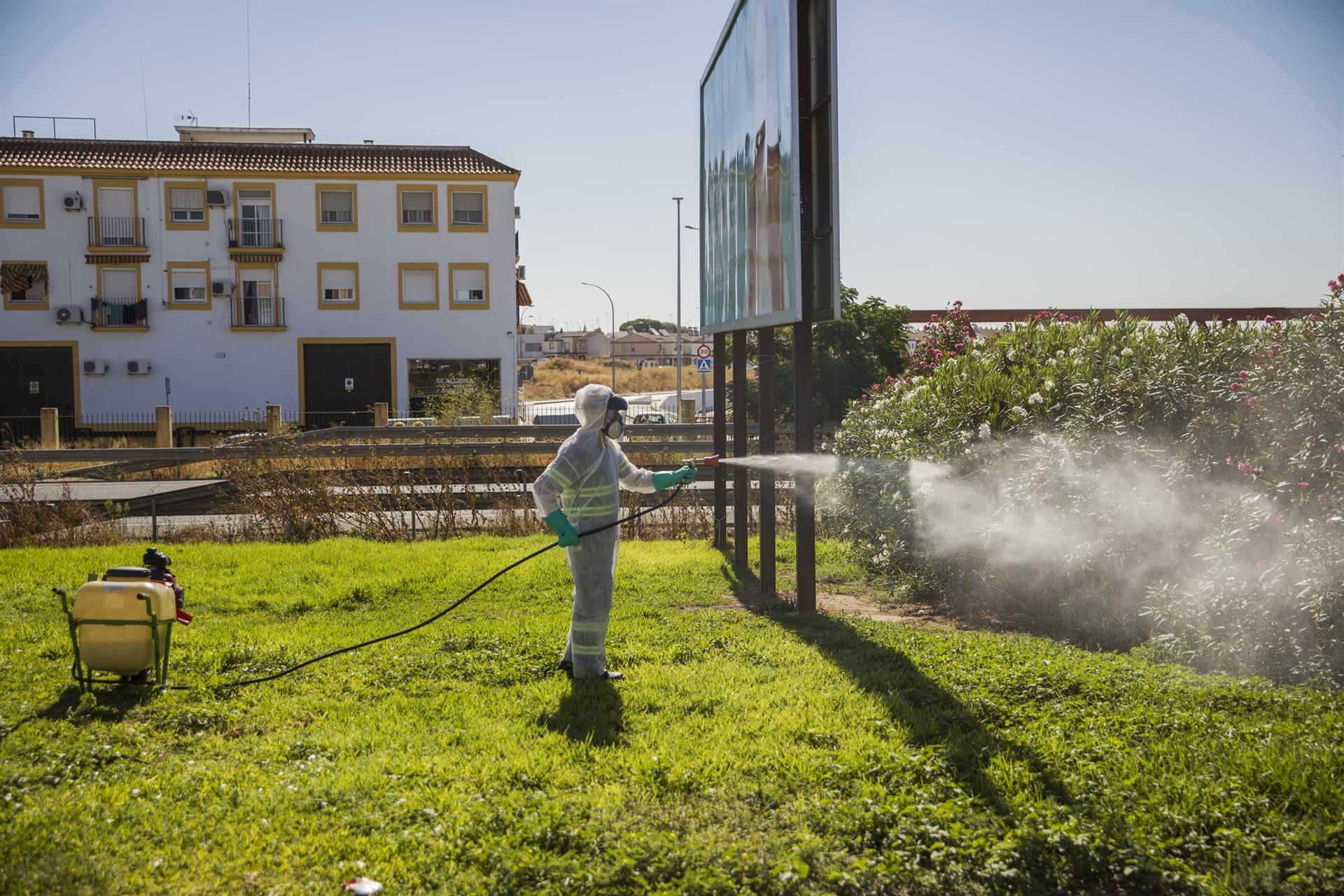 Un trabajador durante las labores de fumigación contra los mosquitos causantes del virus del Nilo en Coria del Río. Foto EP.