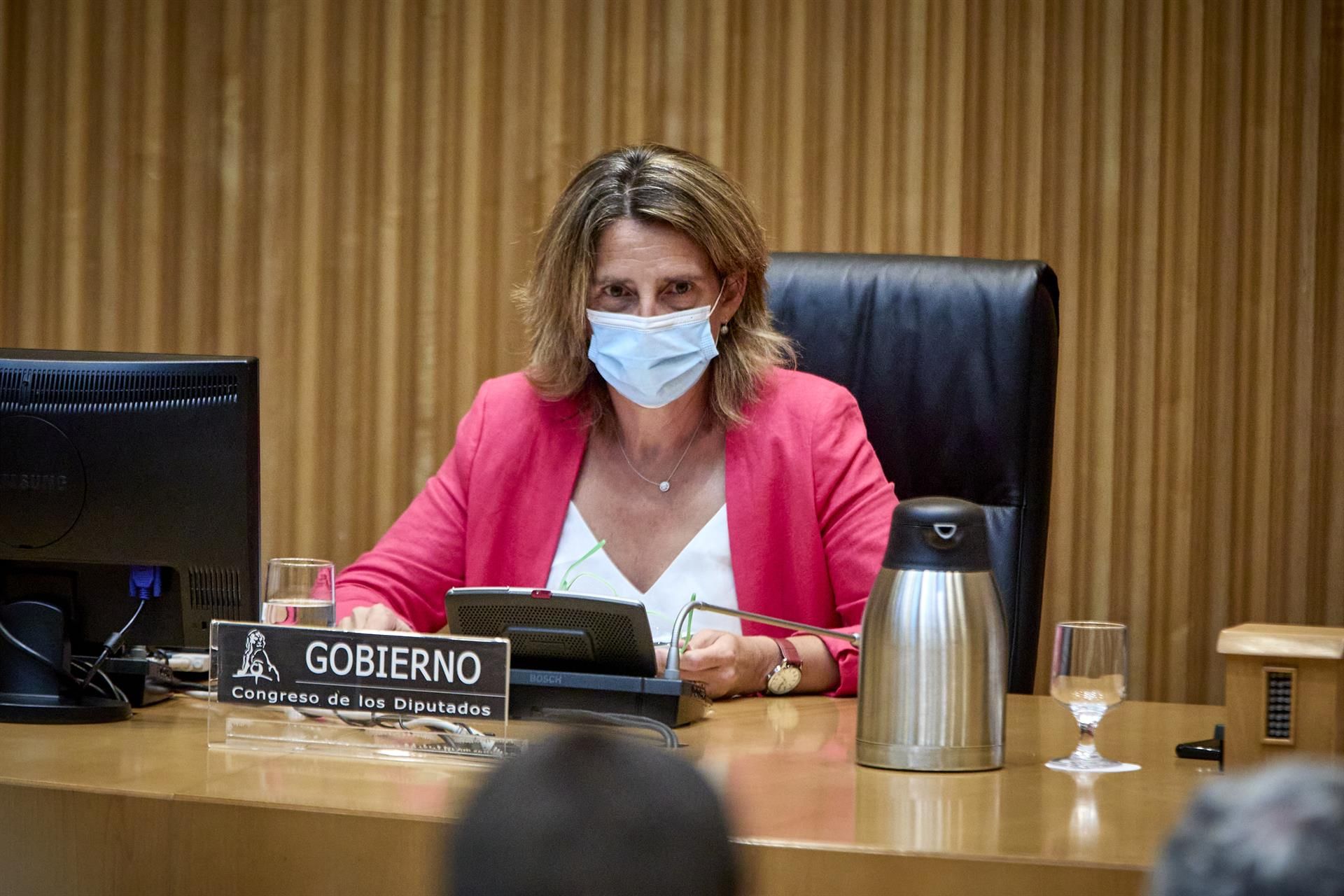 La vicepresidenta del Gobierno, Teresa Ribera, durante una rueda de prensa