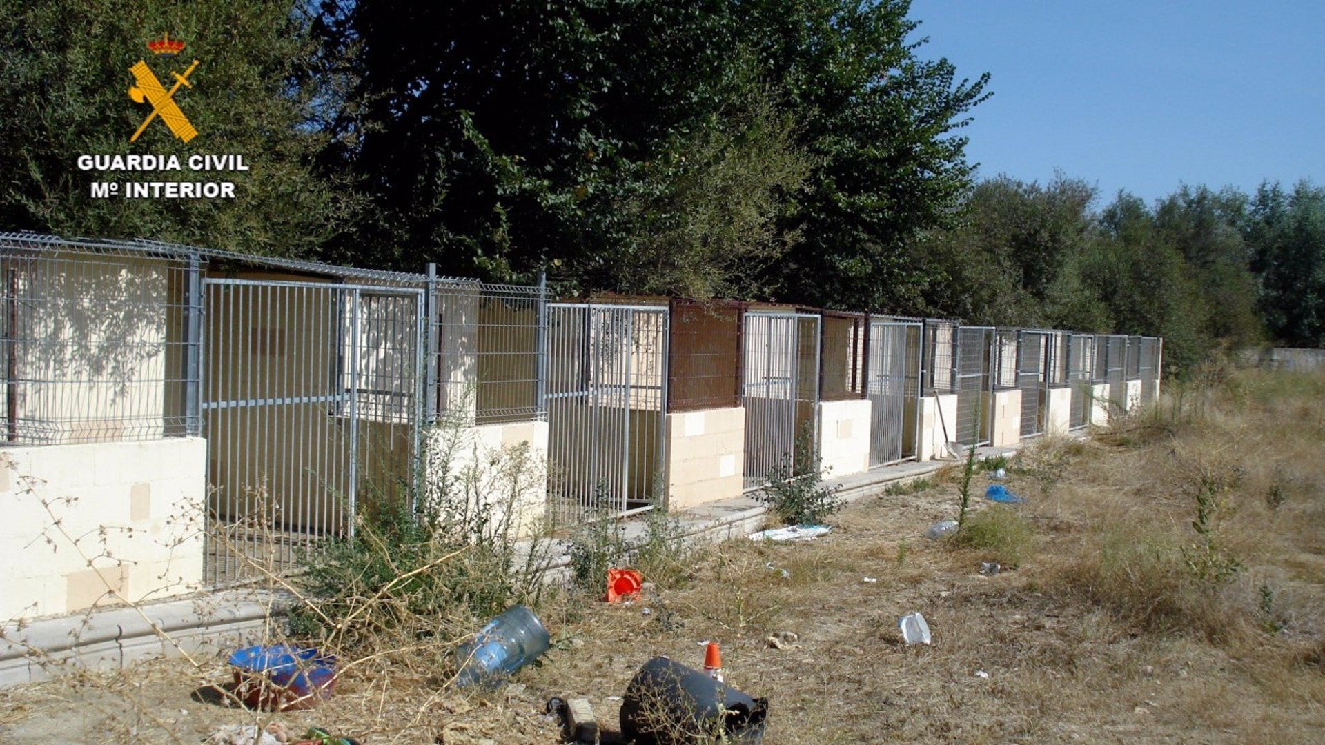 La residencia canina de Madrid. | EP