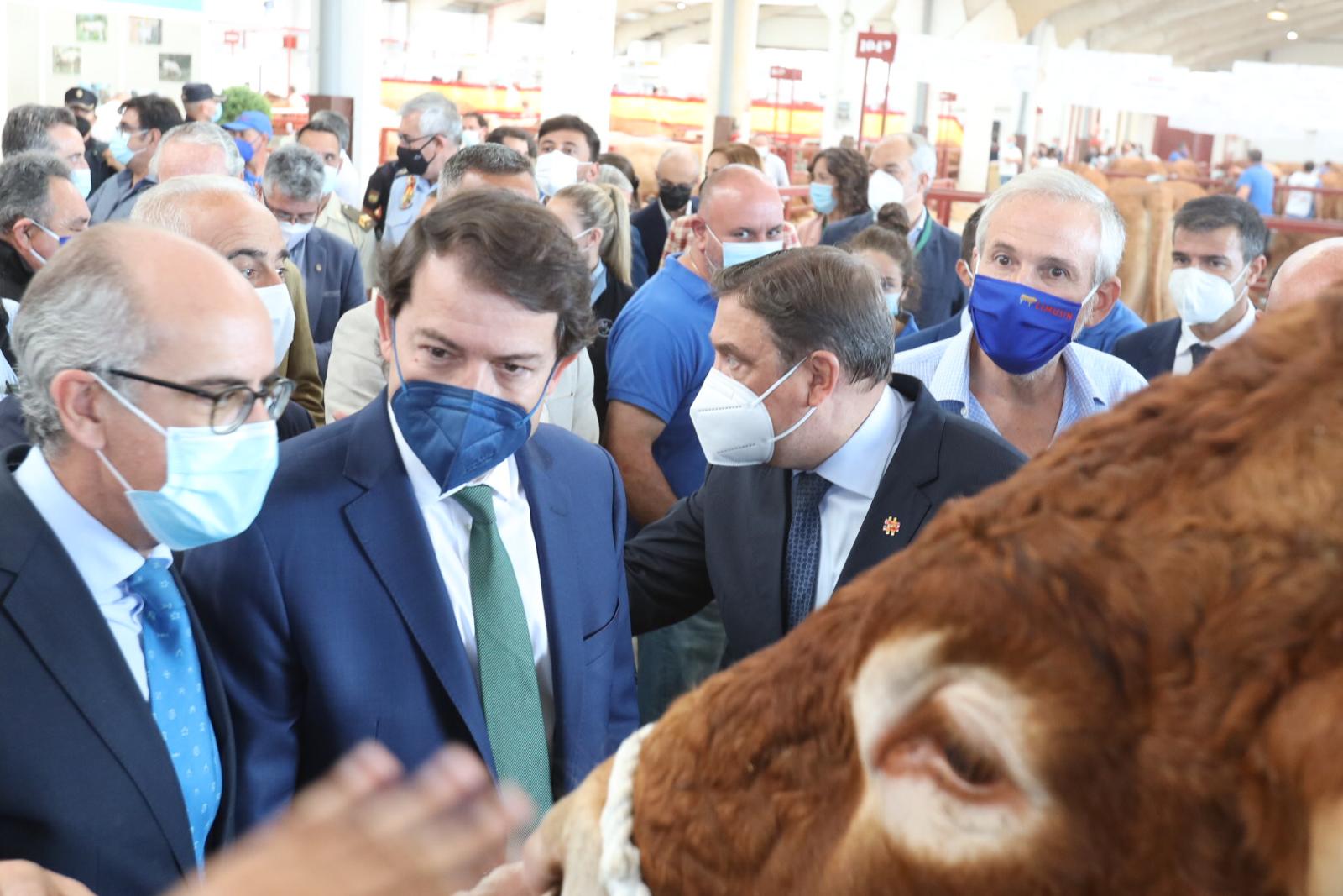 Javier Iglesias, Alfonso Fernández Mañueco y Luis Planas en la inauguración de Salamaq