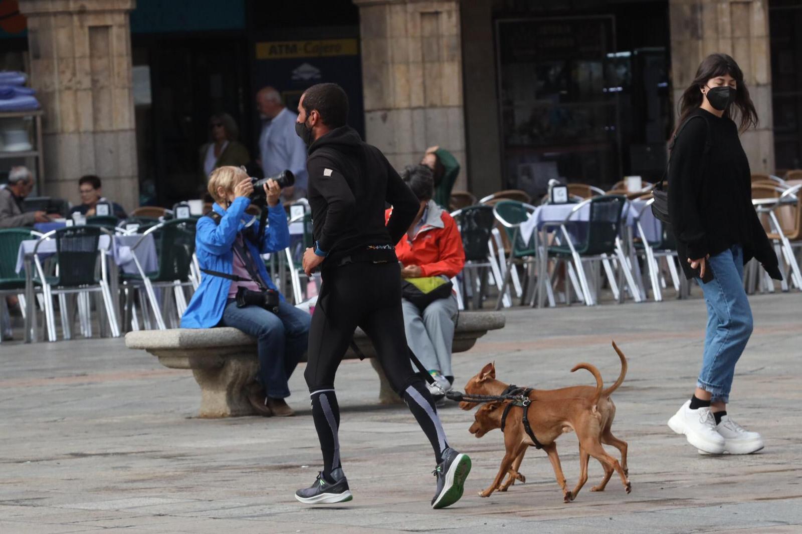 Un hombre corre junto a sus perros en la Plaza Mayor en un día otoñal