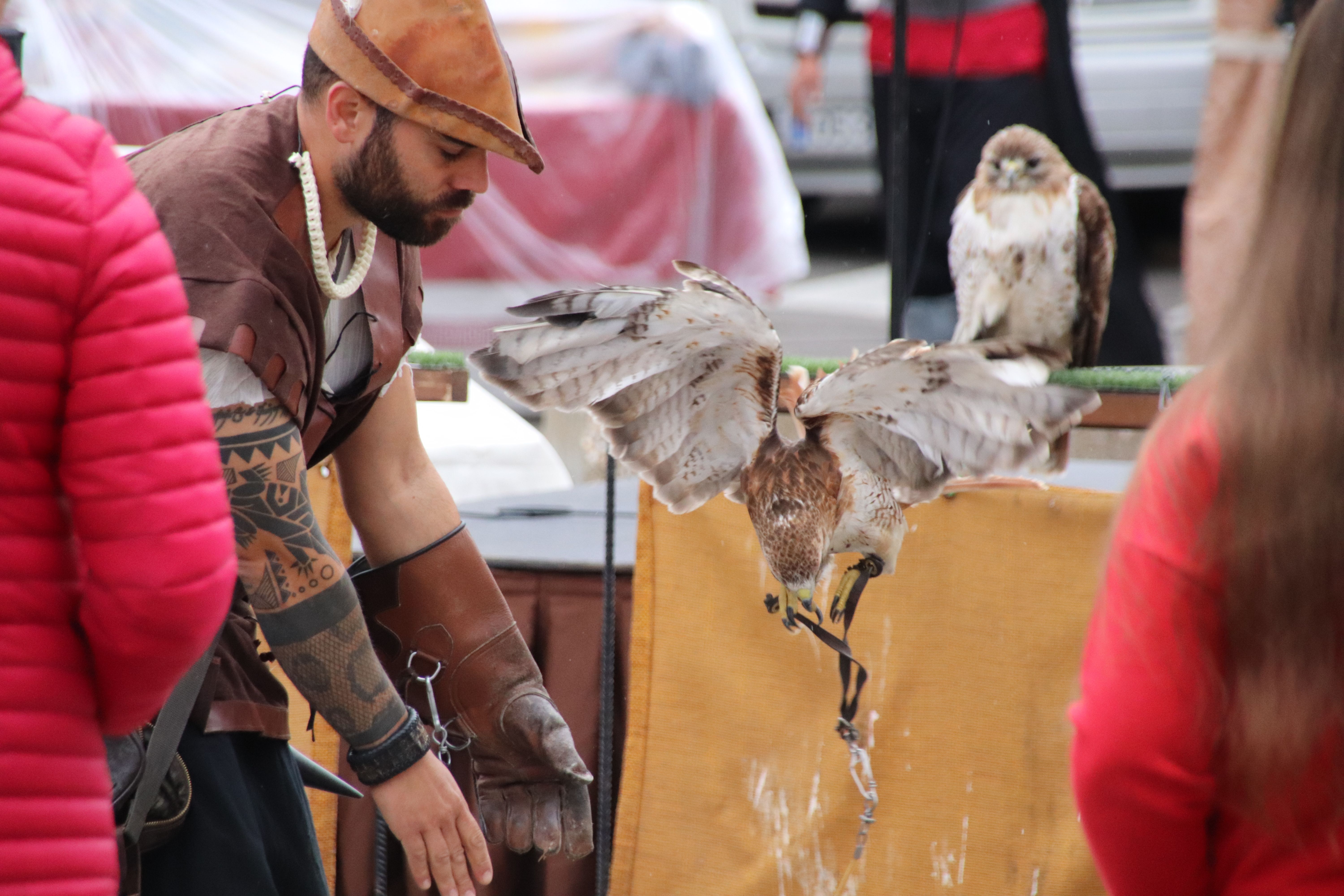 Exhibición de Cetrería en el I Mercado Medieval de Castellanos de Moriscos (21)