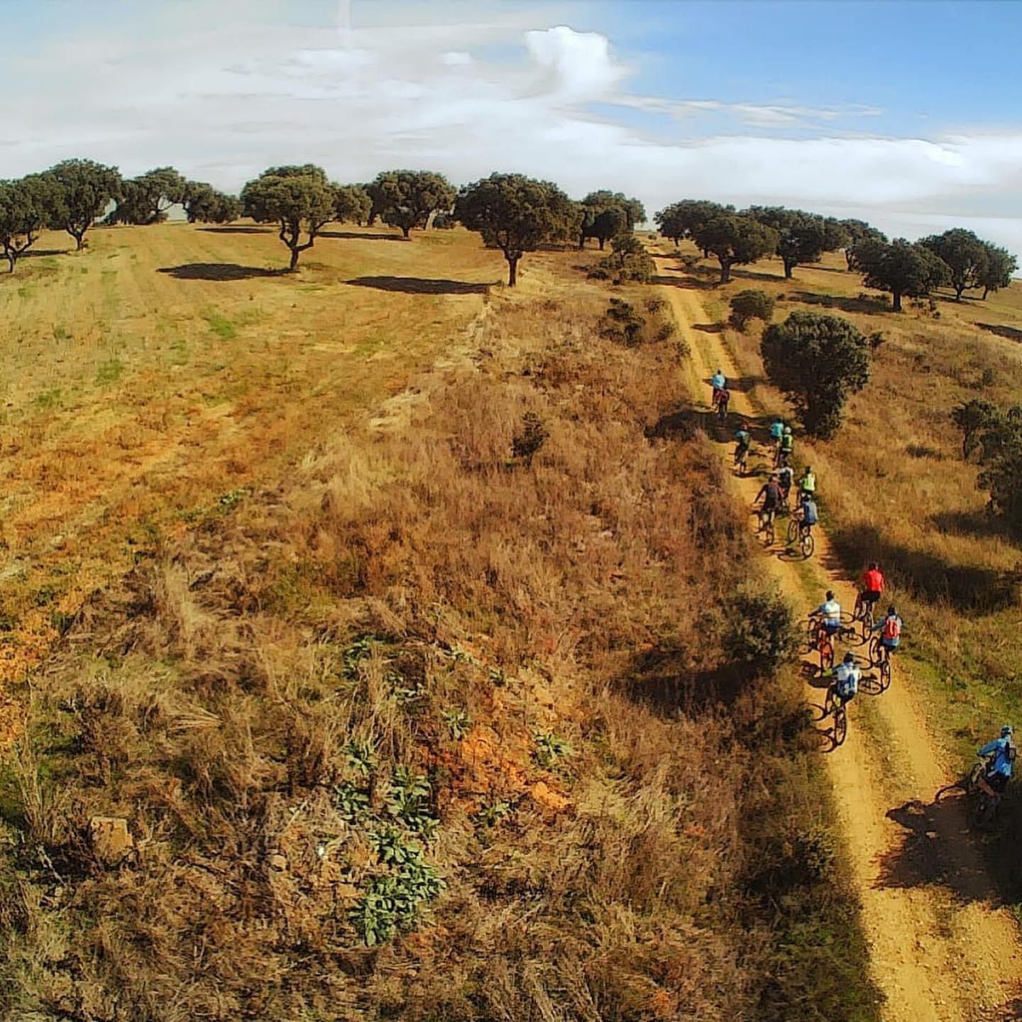 Cañada Real Burgalesa. Foto RRJ