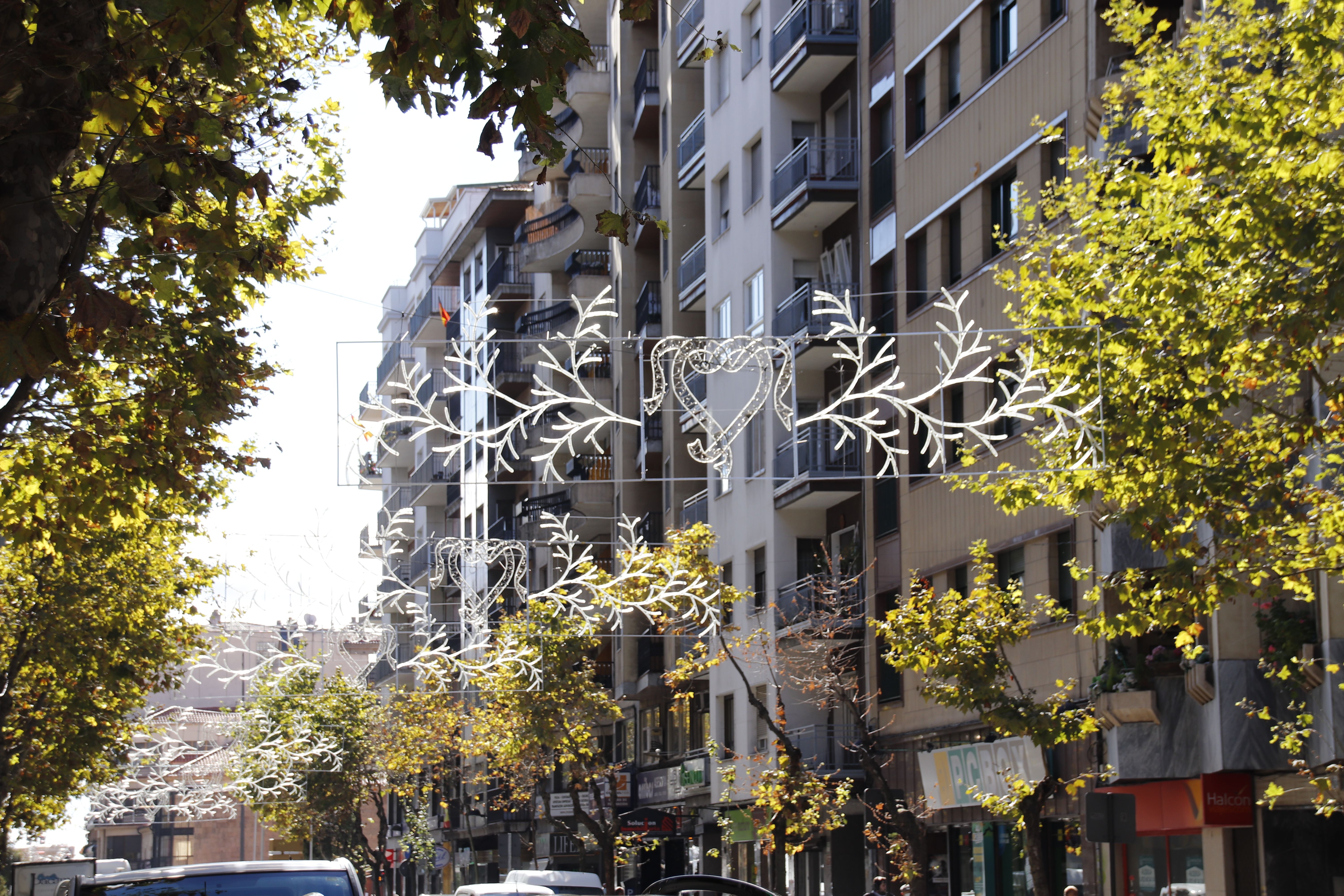 Luces de navidad en Paseo del Doctor Torres Villaroel.