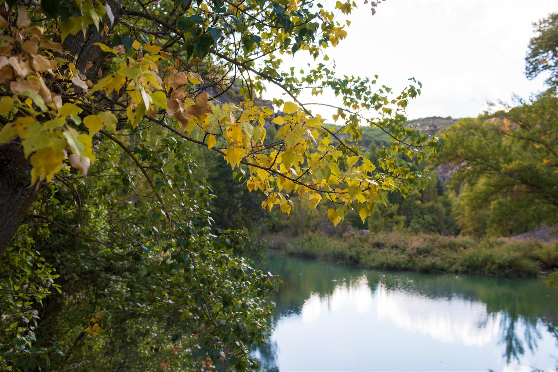 Paisaje de la Hoz del Júcar