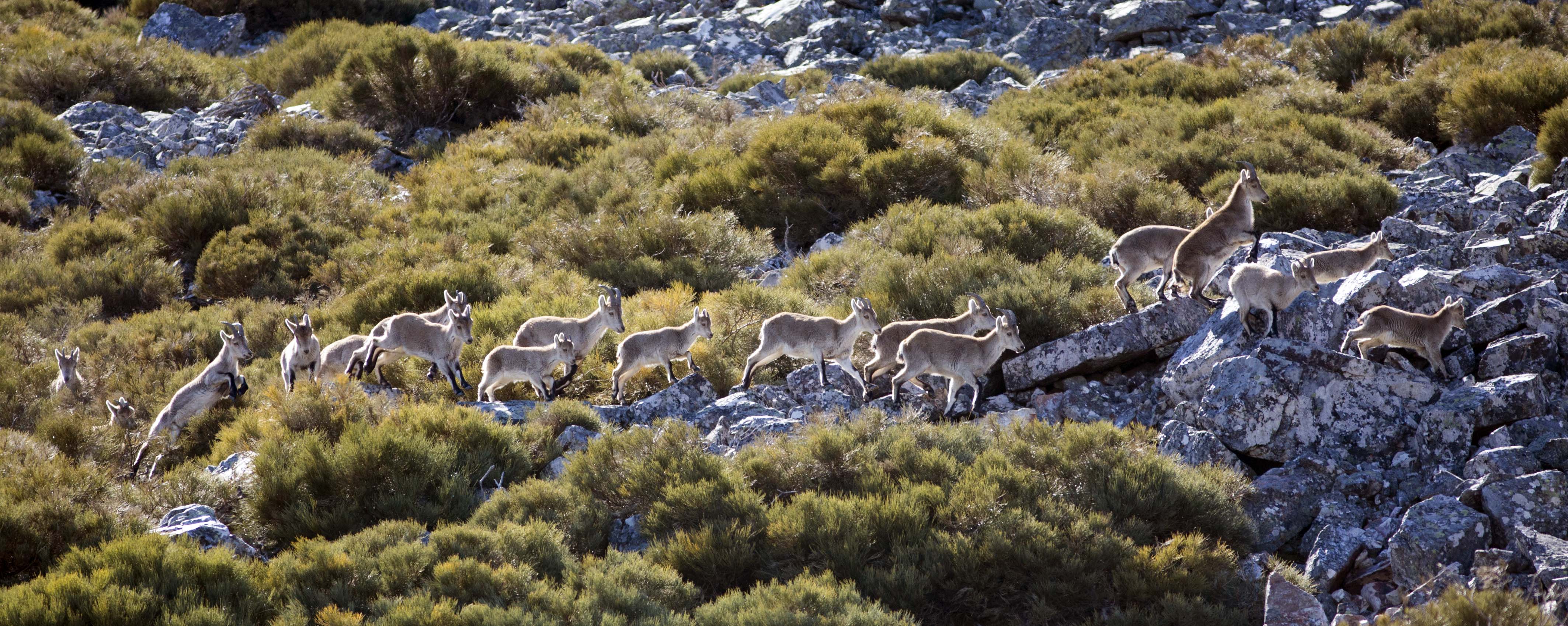 Reserva de las Batuecas. Foto ICAL.