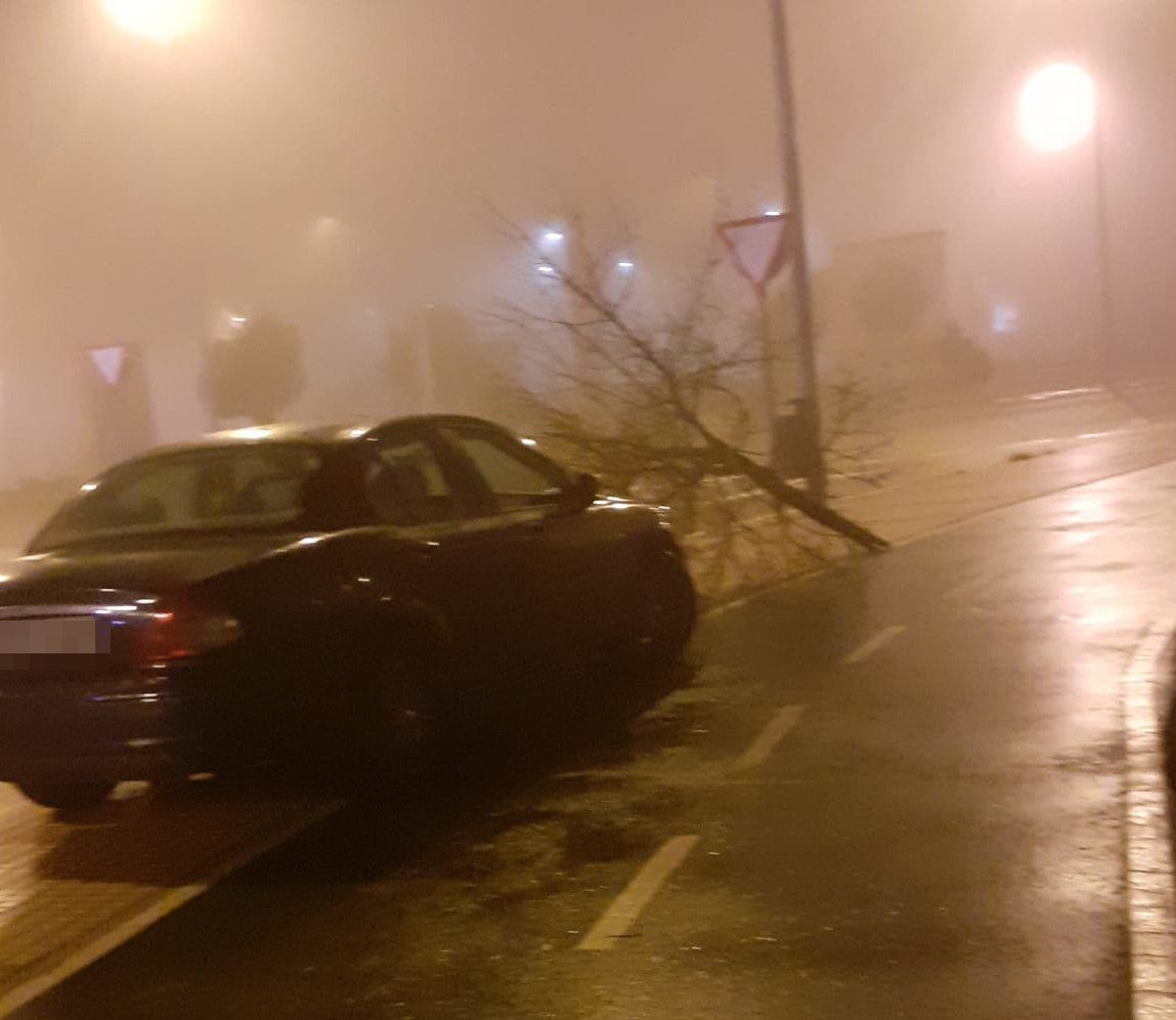 Accidente en Salas Bajas, golpe contra un árbol. Foto SALAMANCA24HORAS