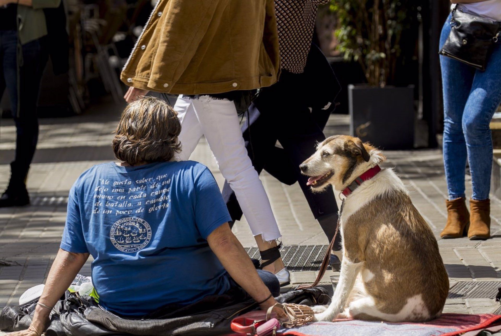 Una persona y su perro   FAADA