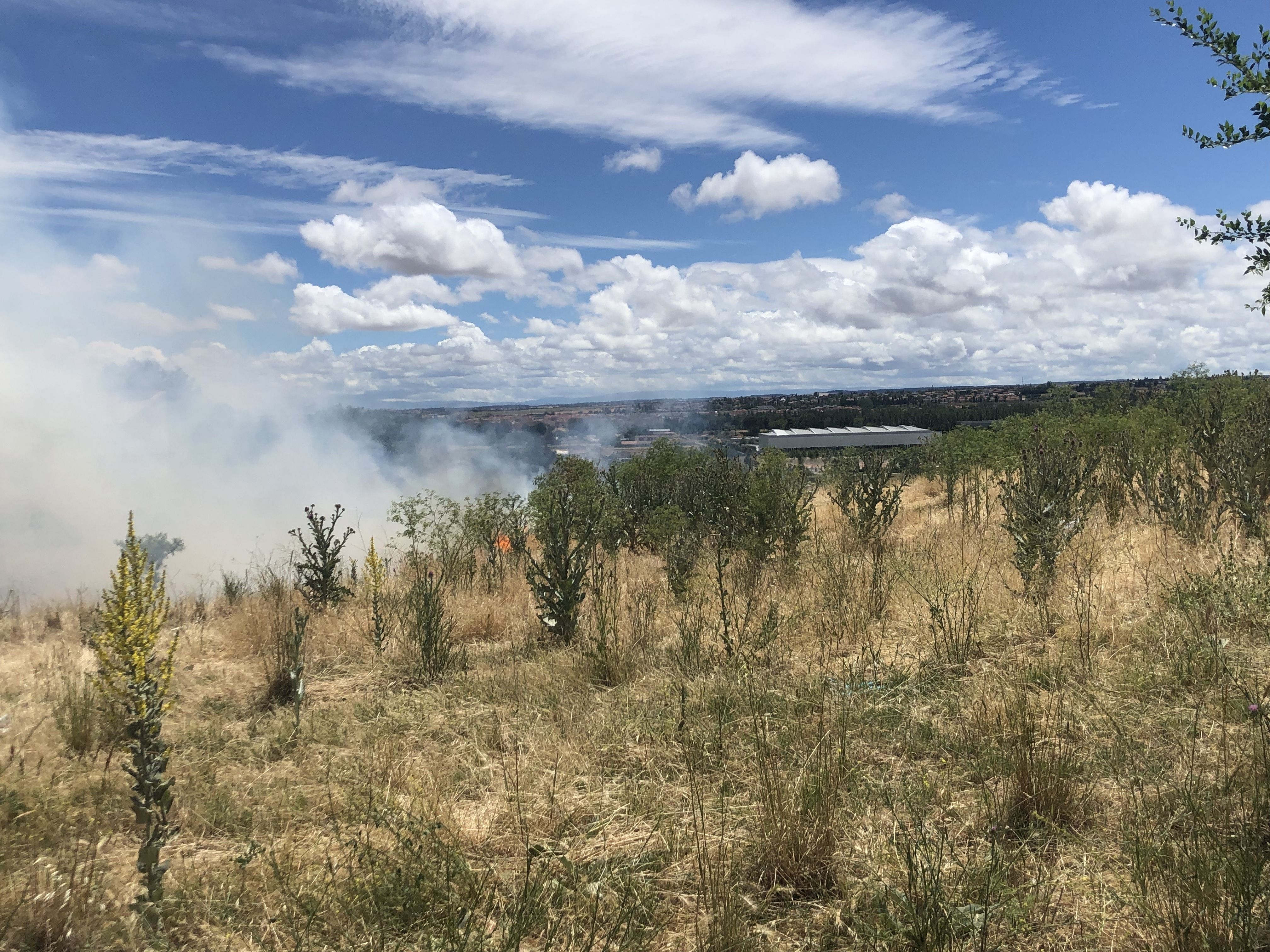 Incendio en un descampado junto al IES Fernando de Rojas | Fotos: Samuel Mellado