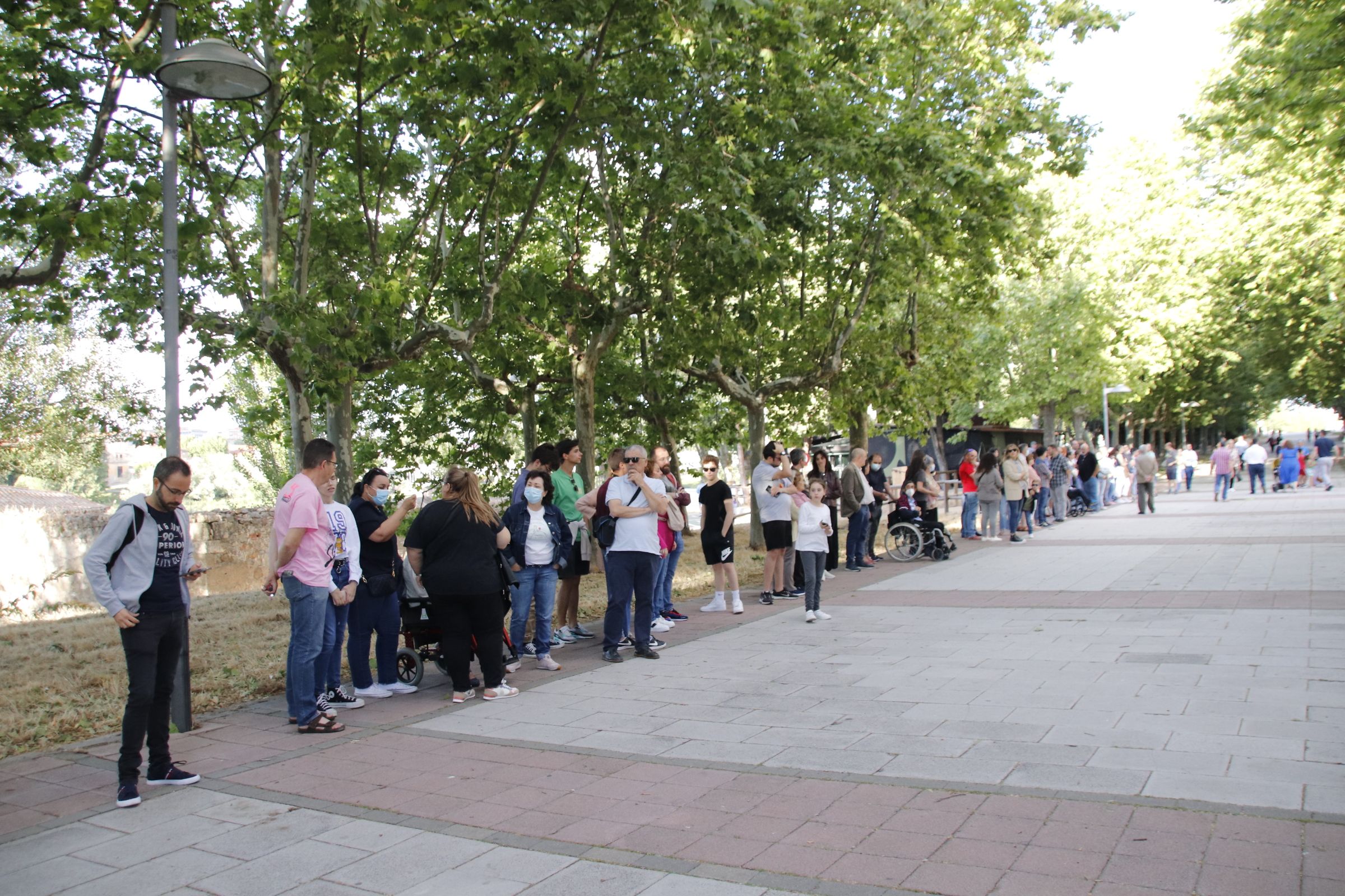 Procesión por el III Congreso Nacional de Hermandades de Sagrada Entrada Triunfal de Jesús 