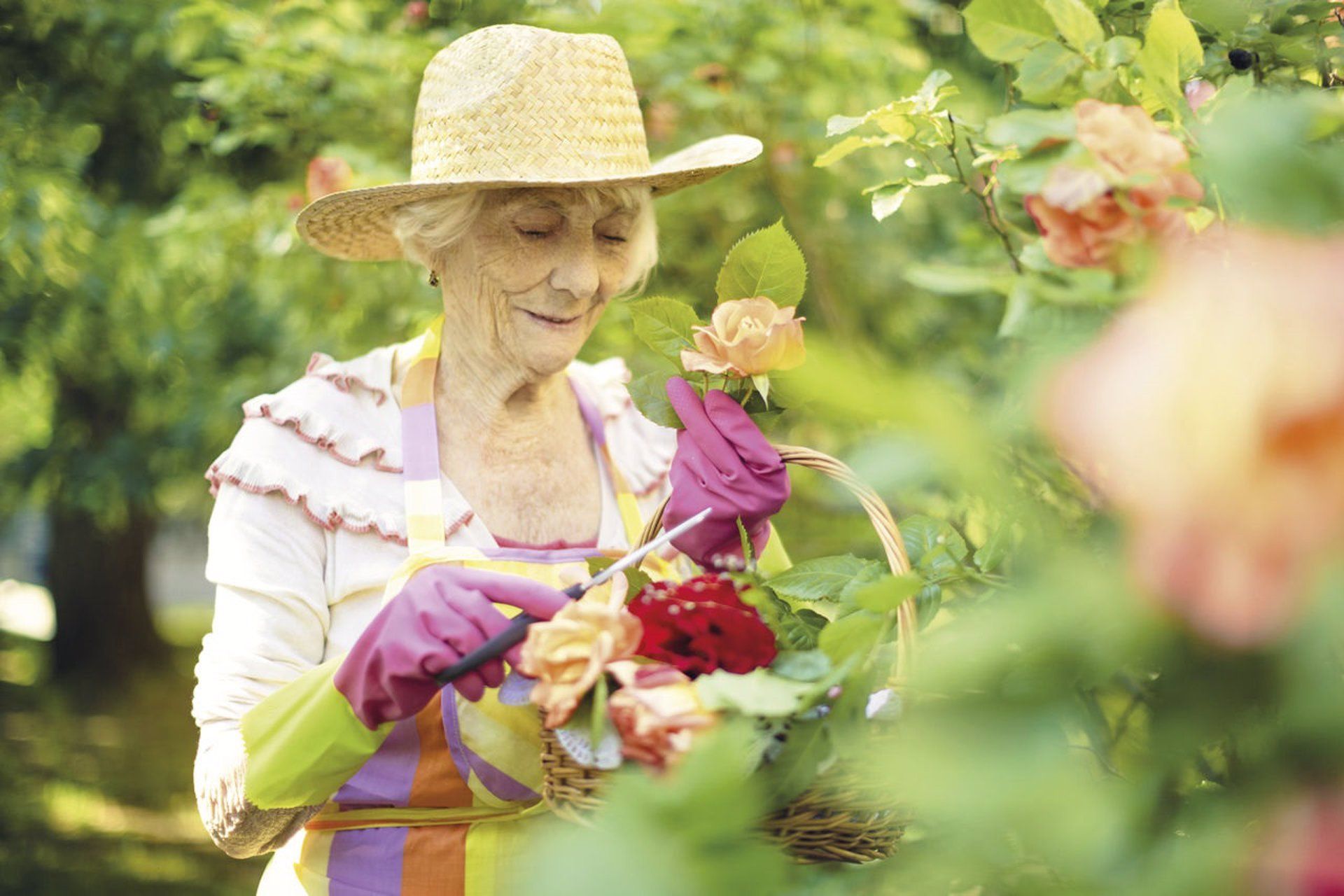 Una mujer trabajando con plantas | EP