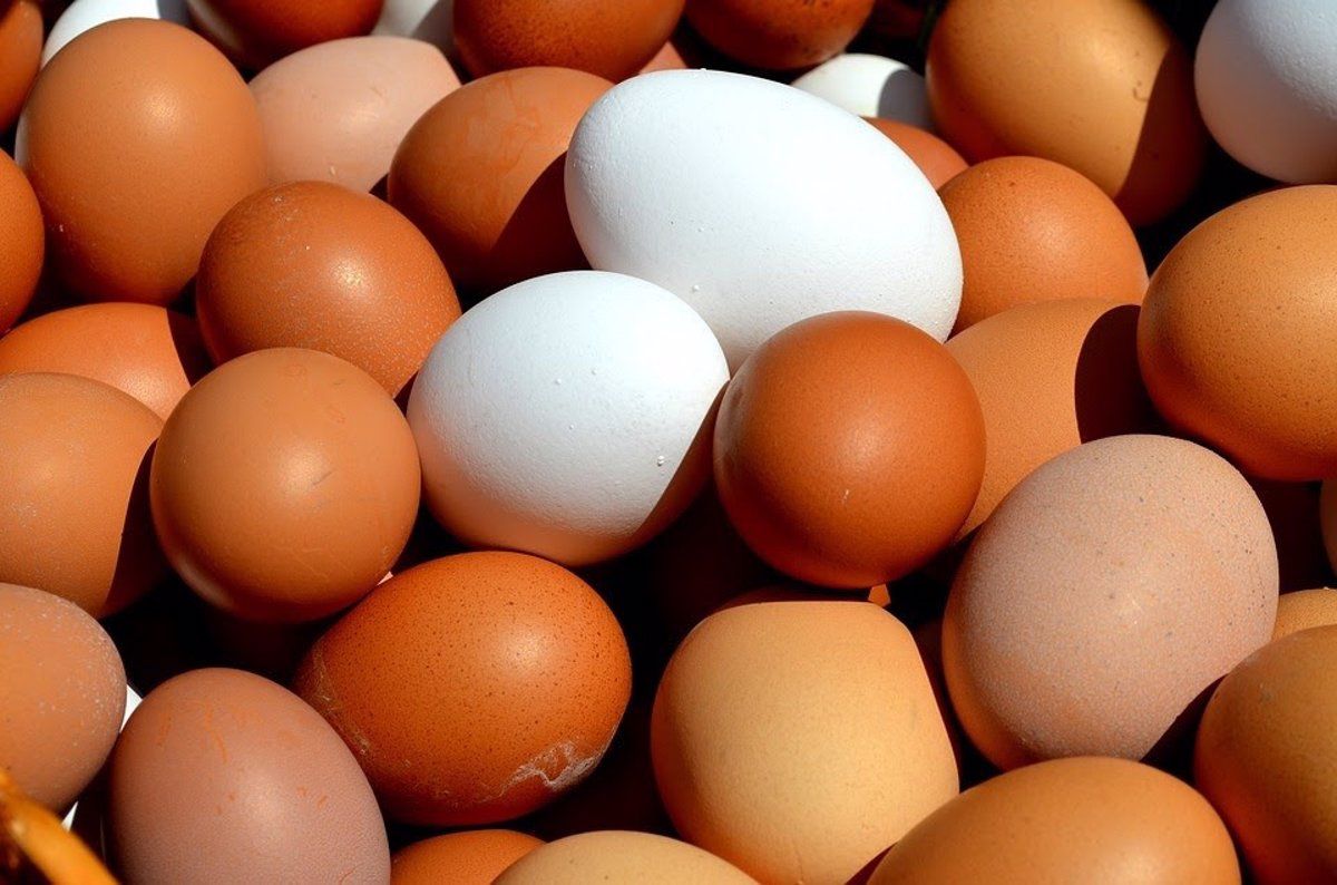 Huevos de gallina. Foto EP