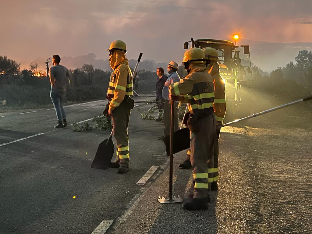 Incendio Forestal, término de Morasverdes, viernes 15 de julio de 2022  S24H (7)