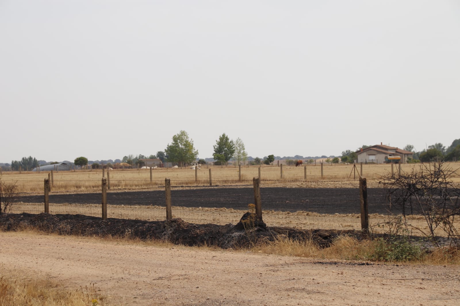 Incendio de Monsagro, imágenes del sábado, 16 de julio (7)