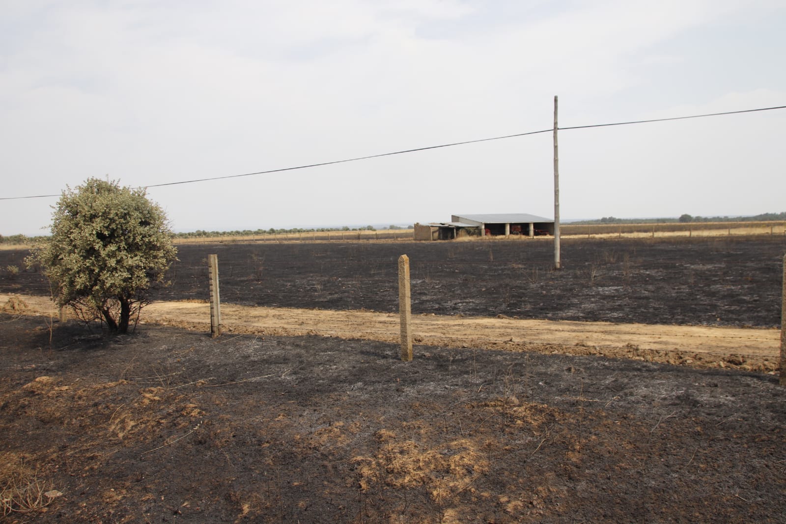 Incendio de Monsagro, imágenes del sábado, 16 de julio (10)