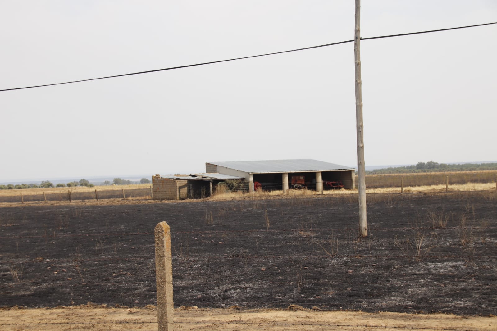 Incendio de Monsagro, imágenes del sábado, 16 de julio (11)