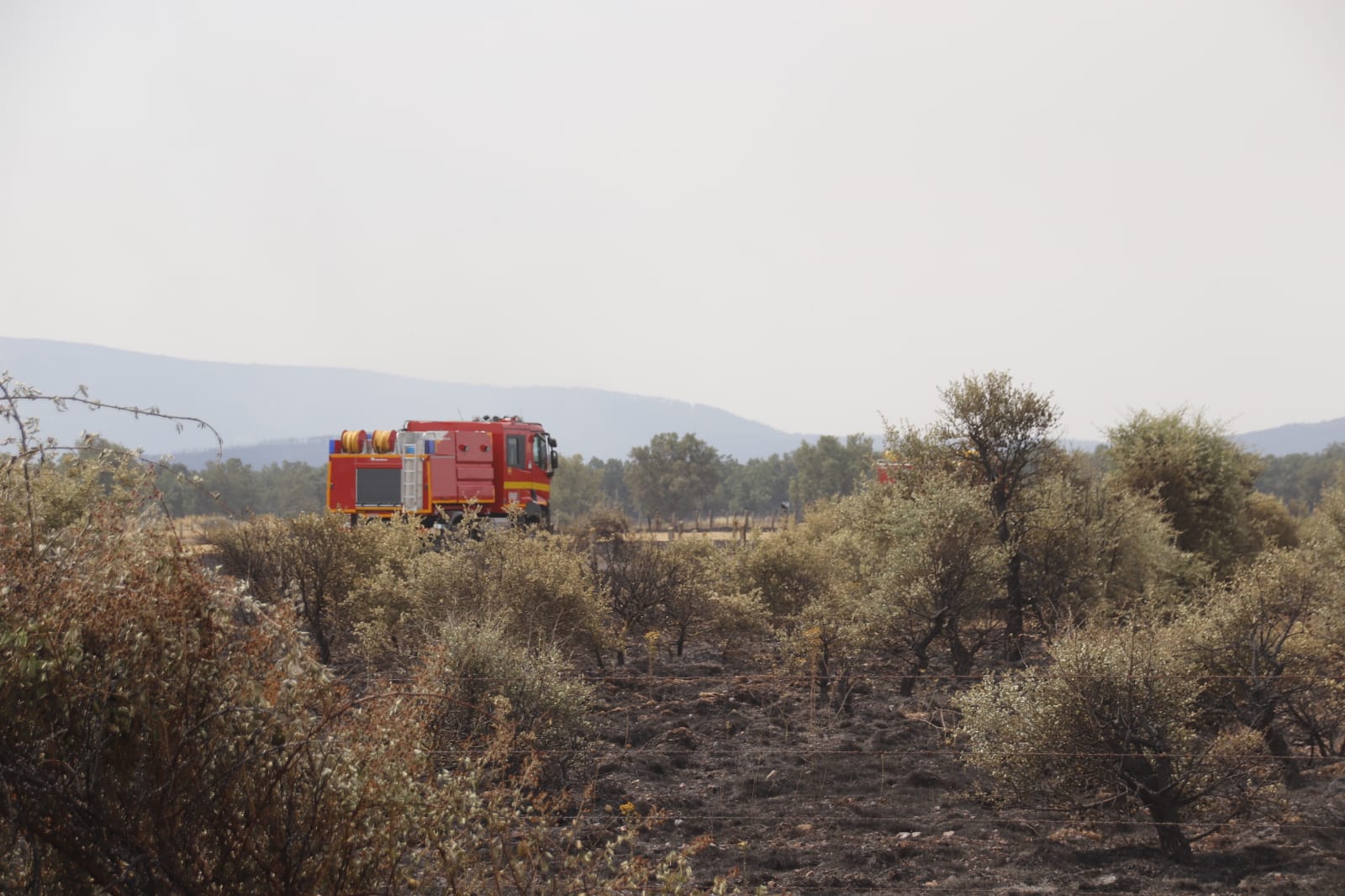 Incendio de Monsagro, imágenes del sábado, 16 de julio (13)