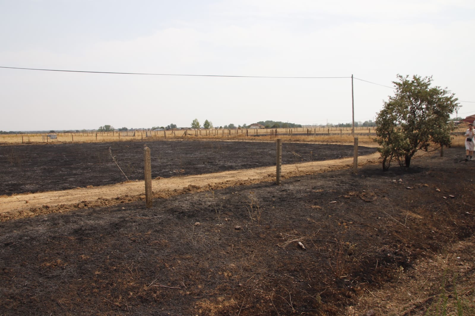 Incendio de Monsagro, imágenes del sábado, 16 de julio (16)