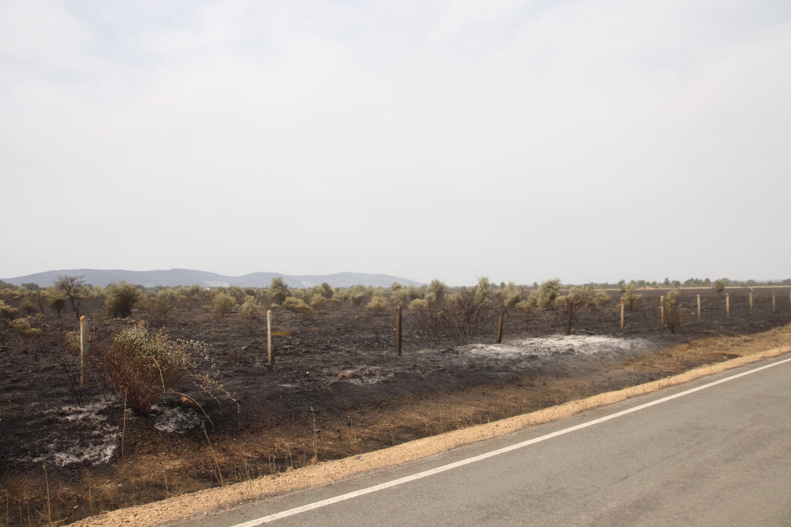 Incendio de Monsagro, imágenes del sábado, 16 de julio (20)