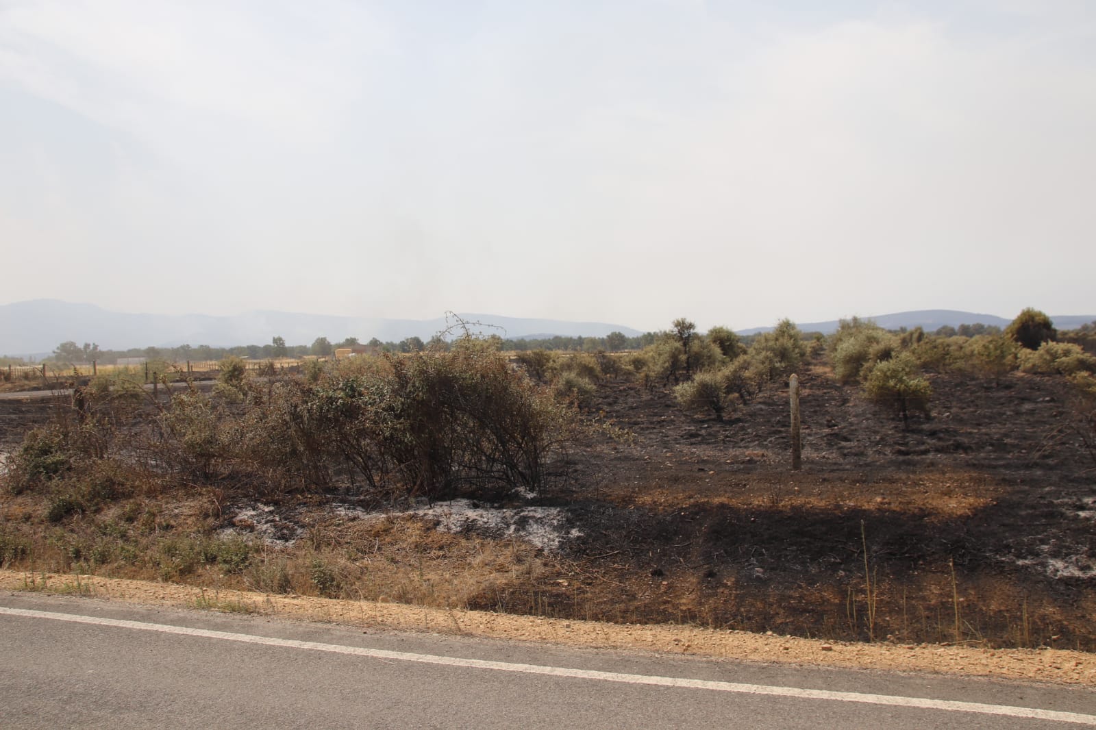 Incendio de Monsagro, imágenes del sábado, 16 de julio (23)