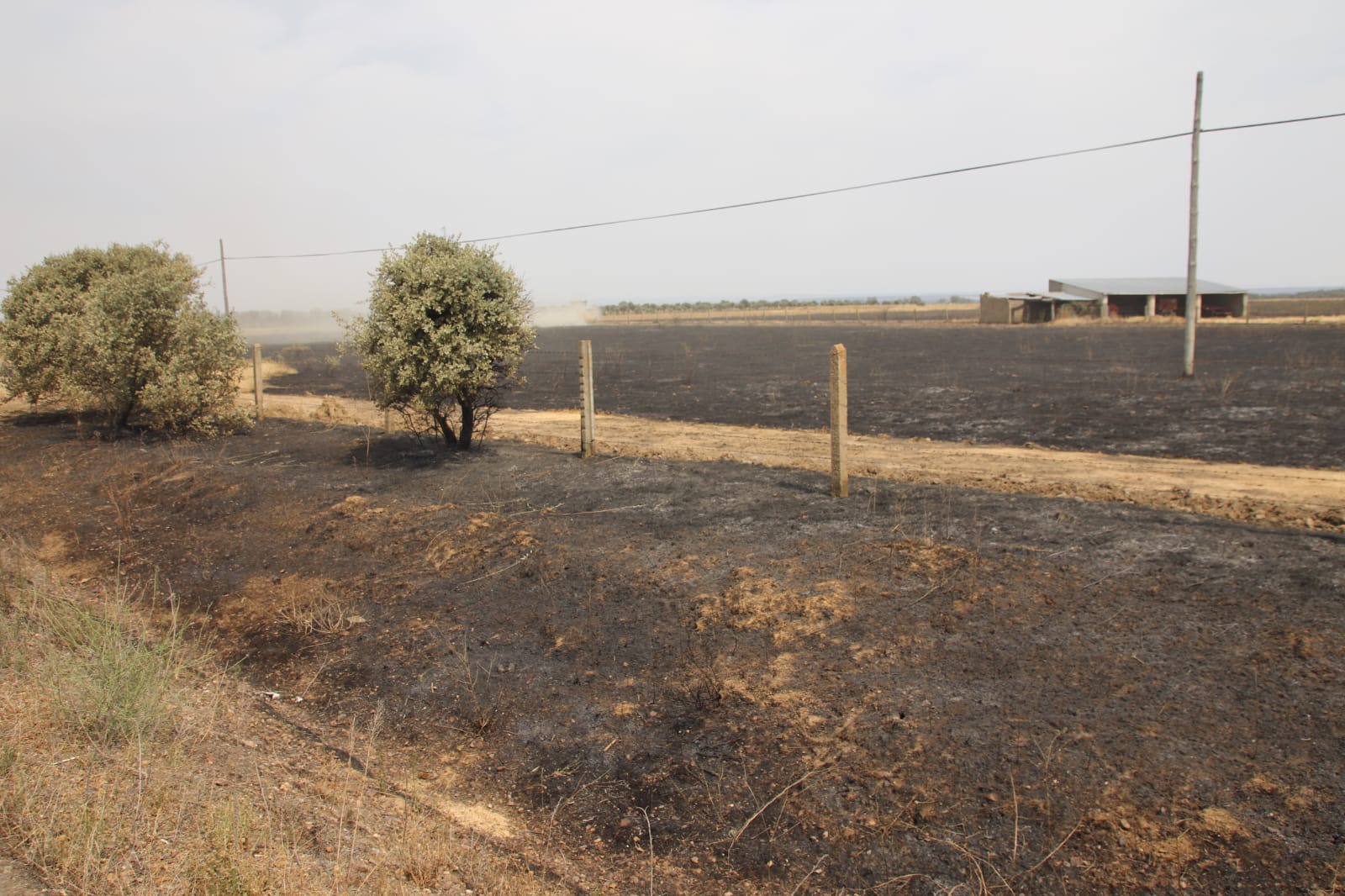 Incendio de Monsagro, imágenes del sábado, 16 de julio (25)