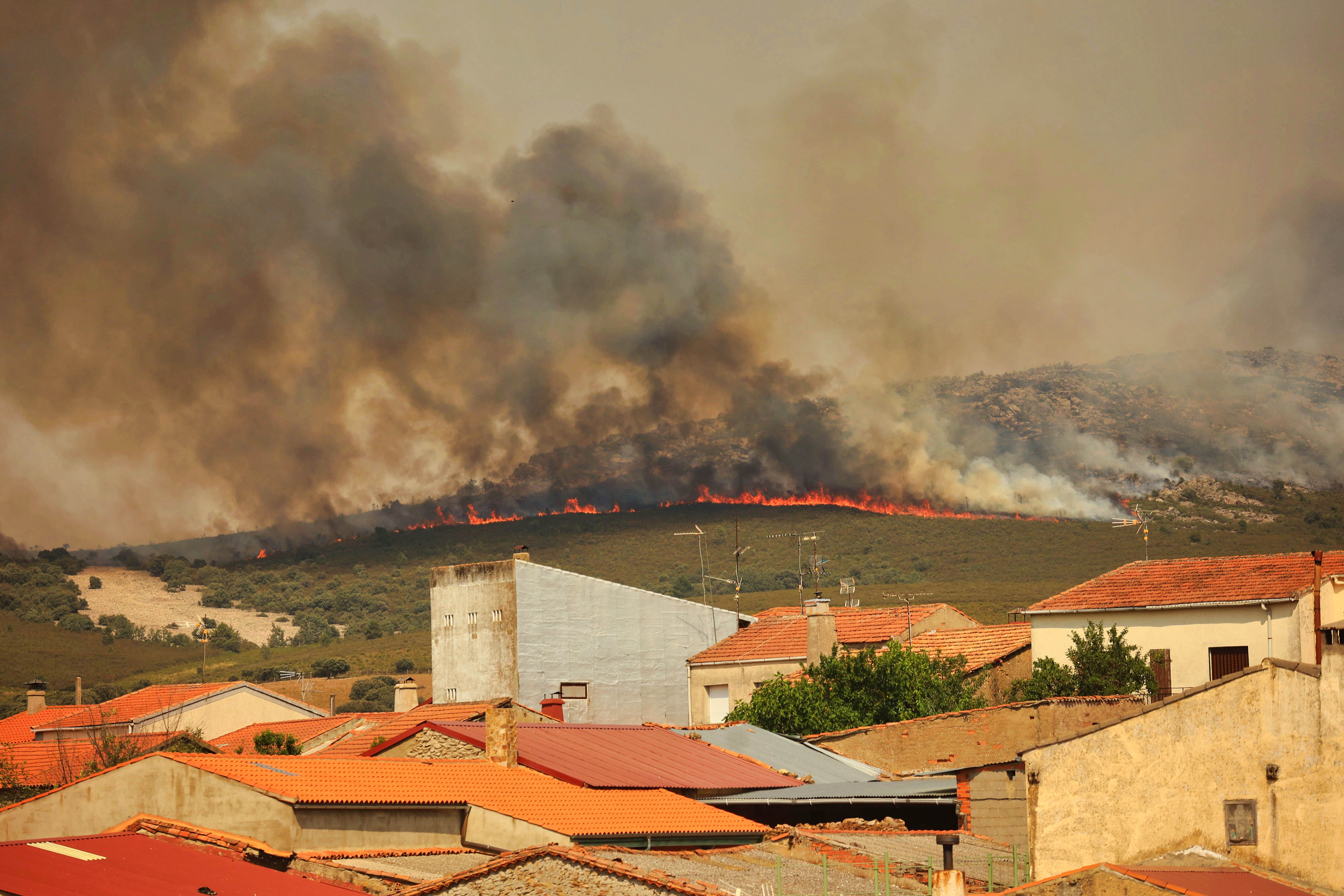 Vicente  ICAL . El incendio forestal de Monsagro (Salamanca)  (5)