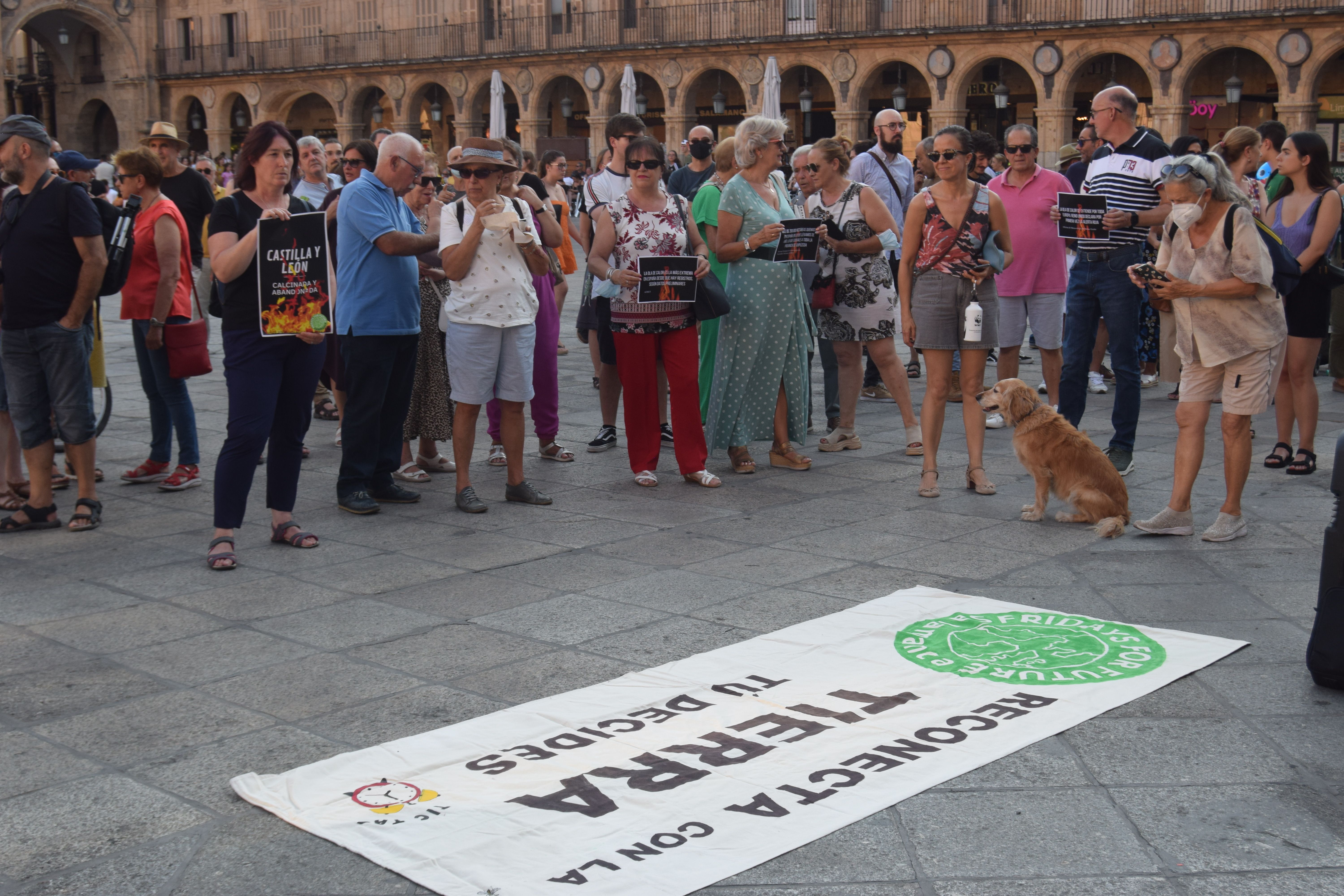 Manifestación Fridays for Future 