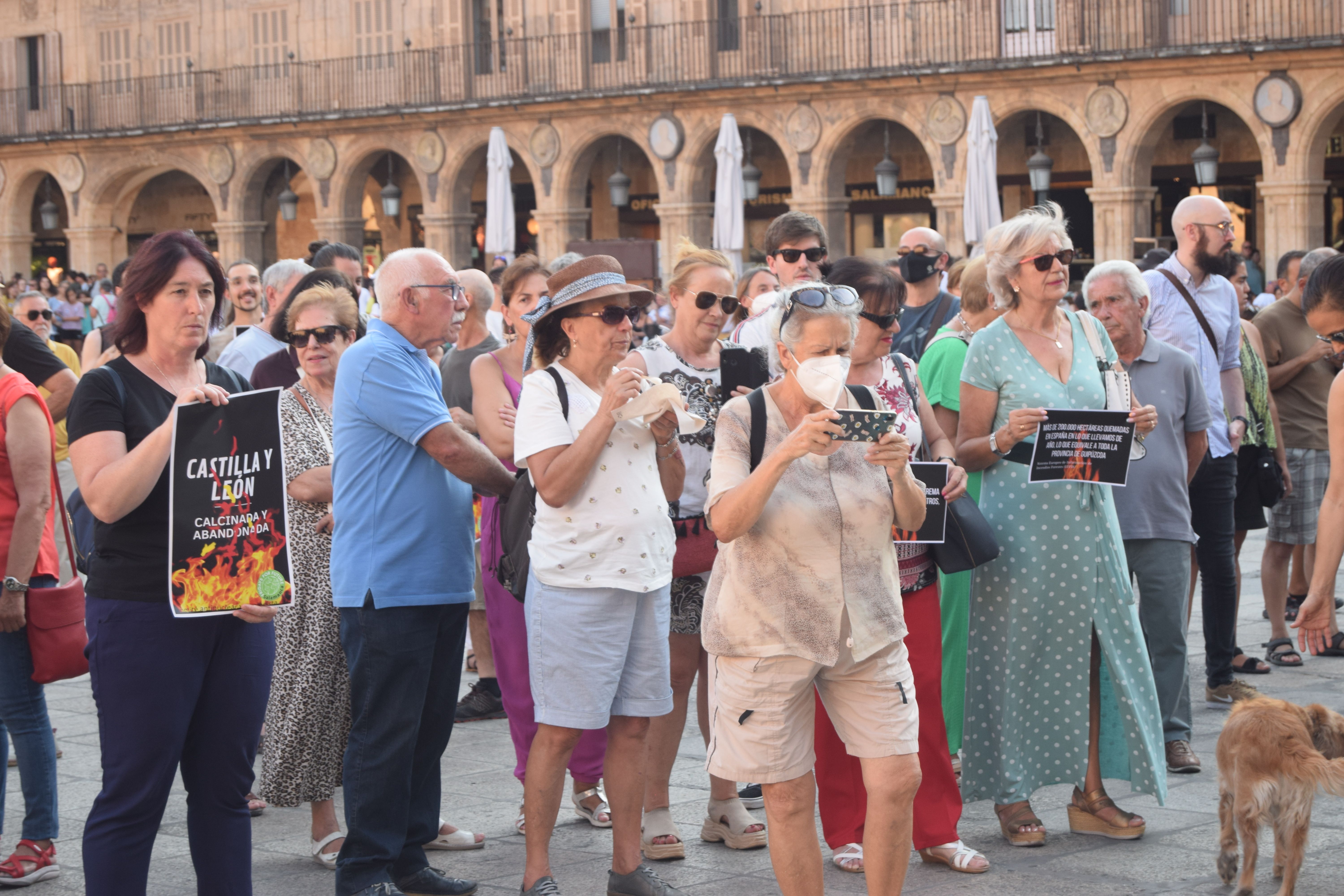 Manifestación Fridays for Future 