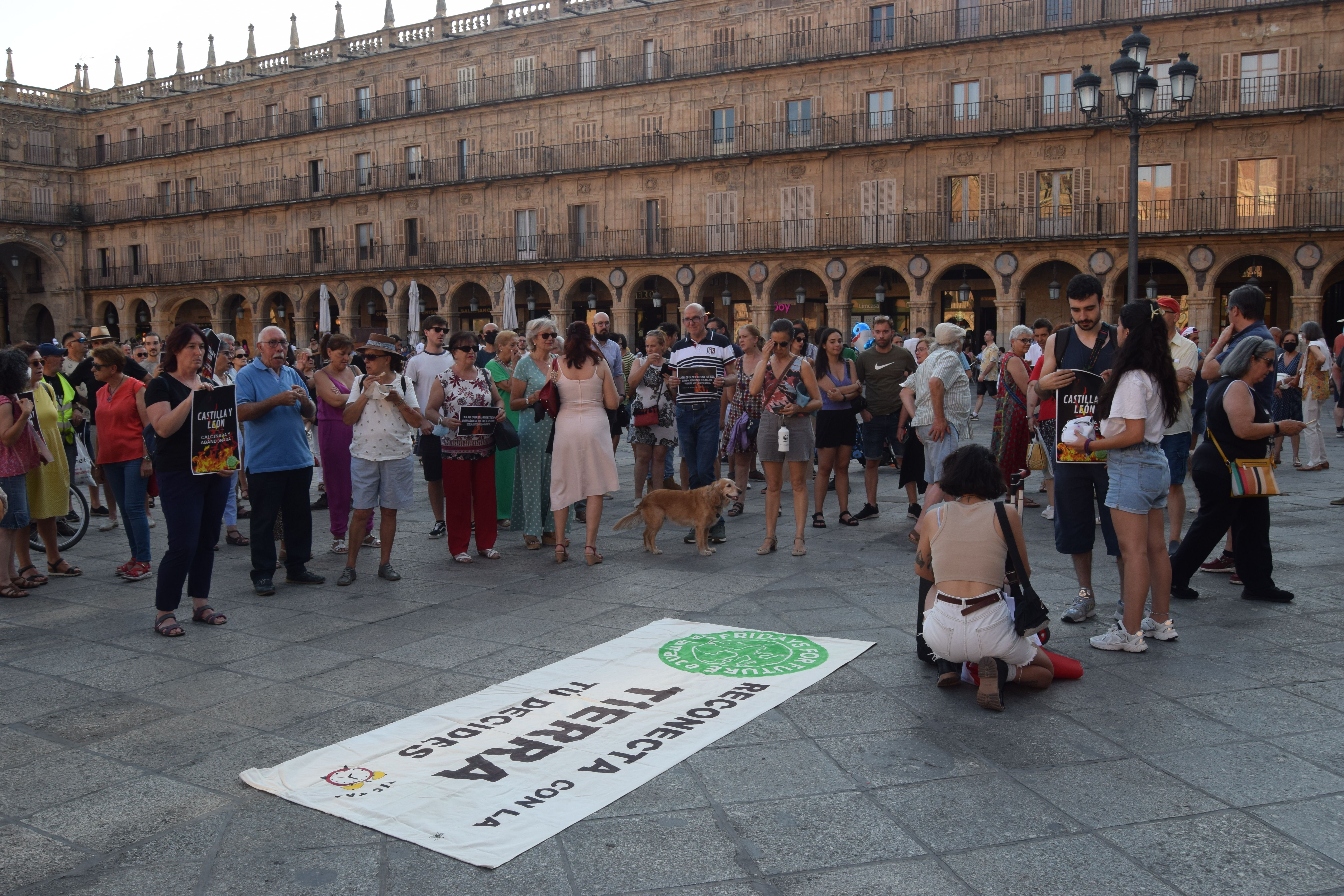 Manifestación Fridays for Future 