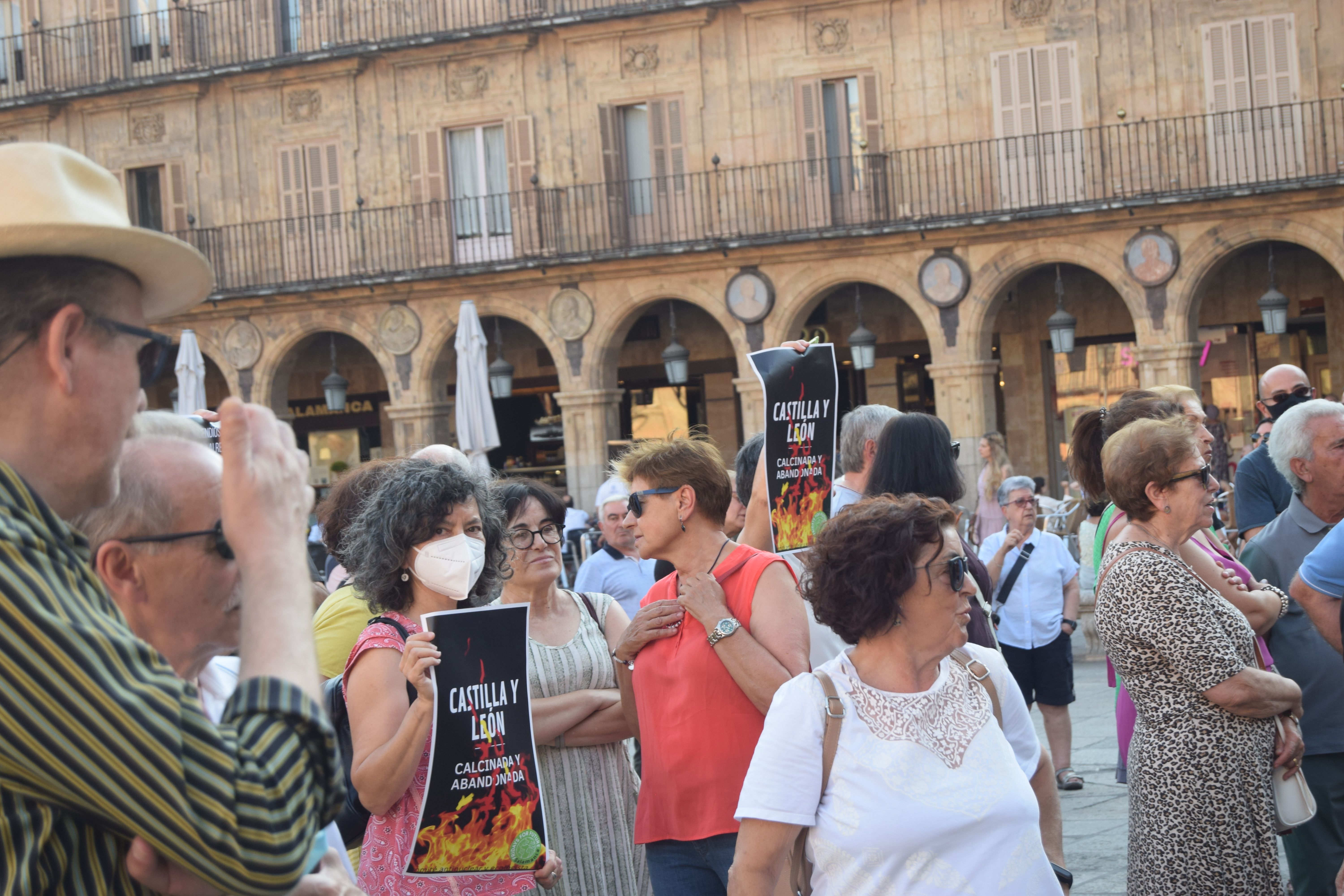 Manifestación Fridays for Future 