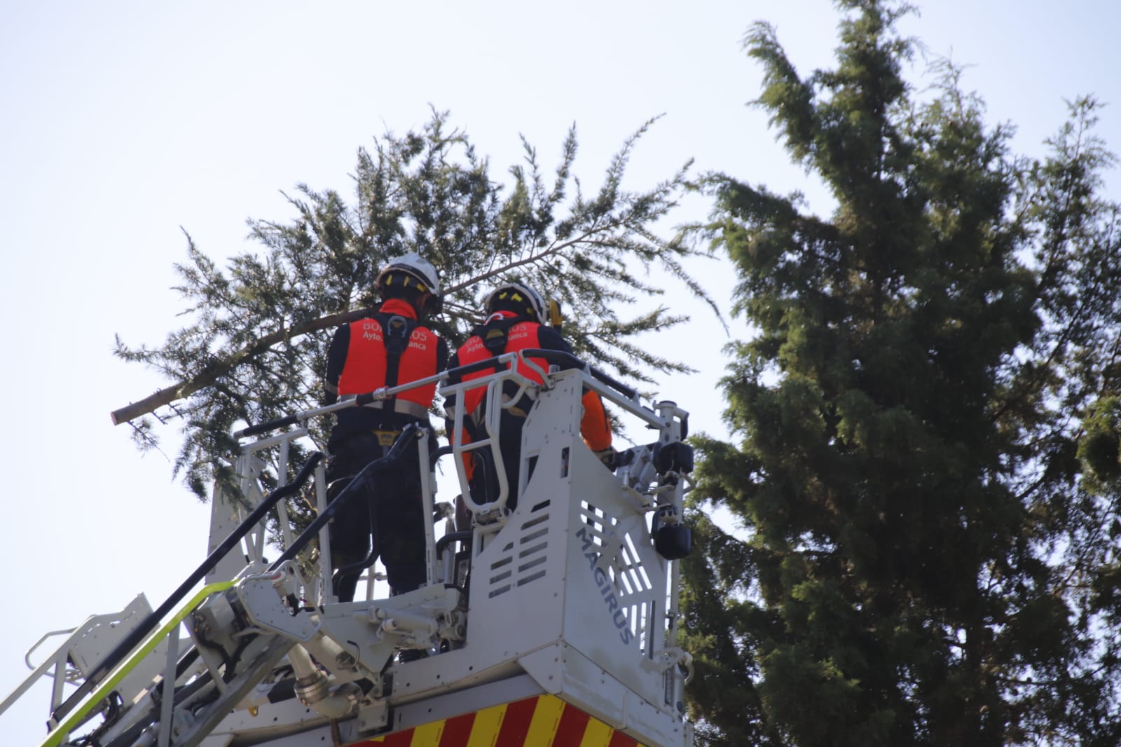 Bomberos en el Campo San Francisco en una imagen de archivo