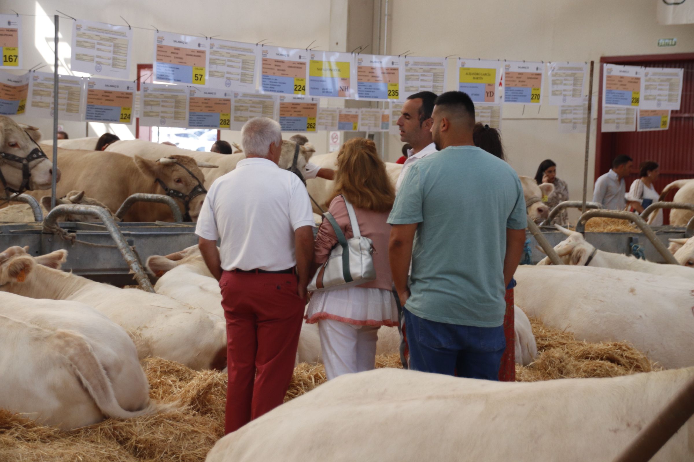 Ambiente en Salamaq y circular de tierra de sabor