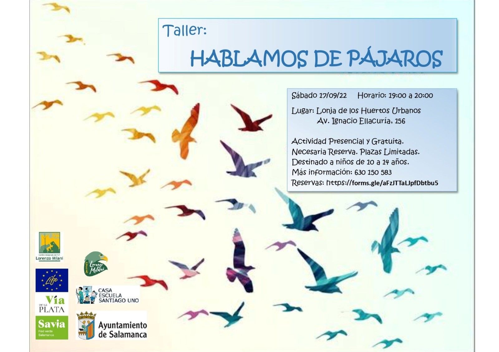 Taller de pajaros