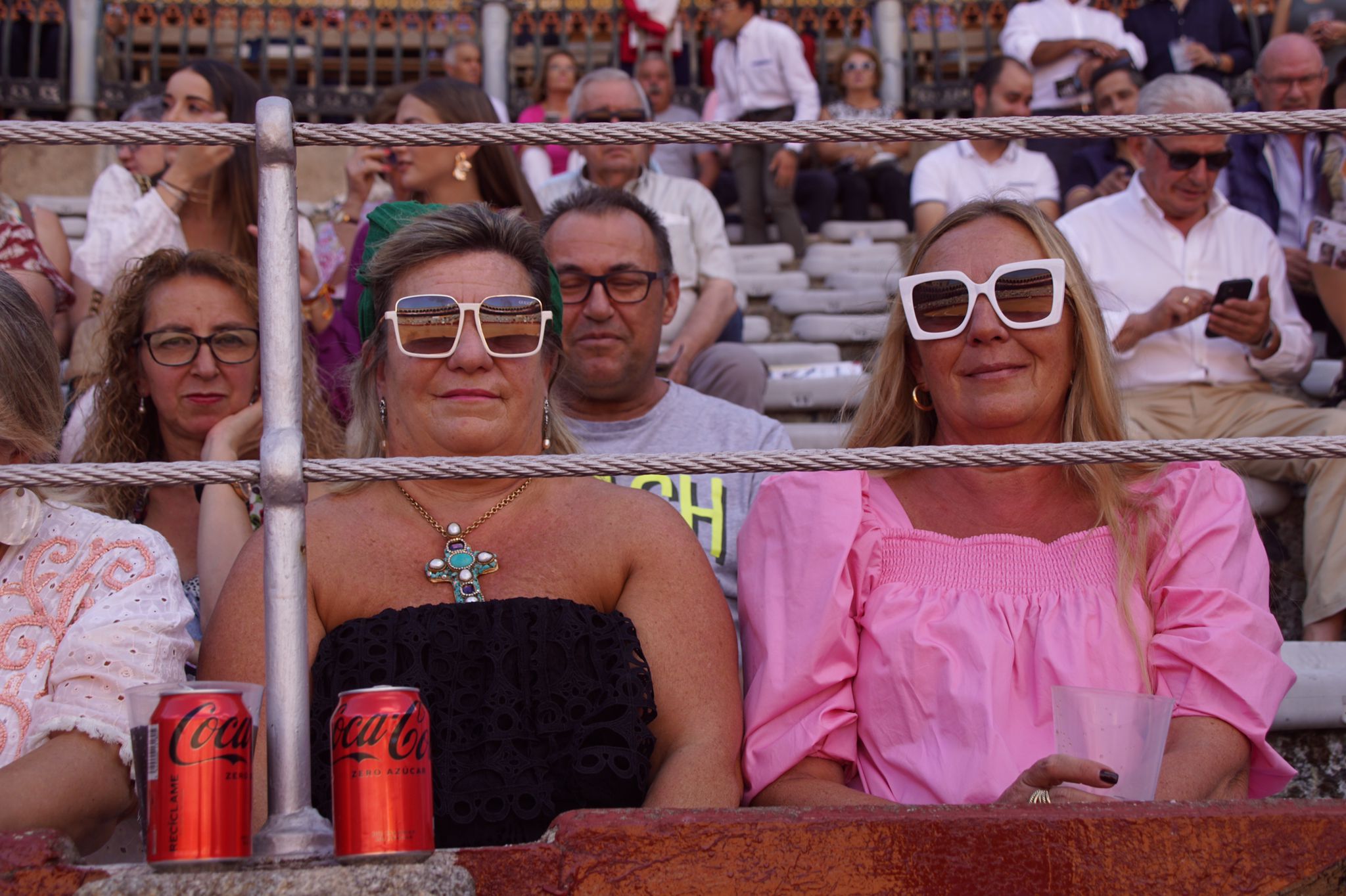  Ambiente en los tendidos de La Glorieta durante la novillada