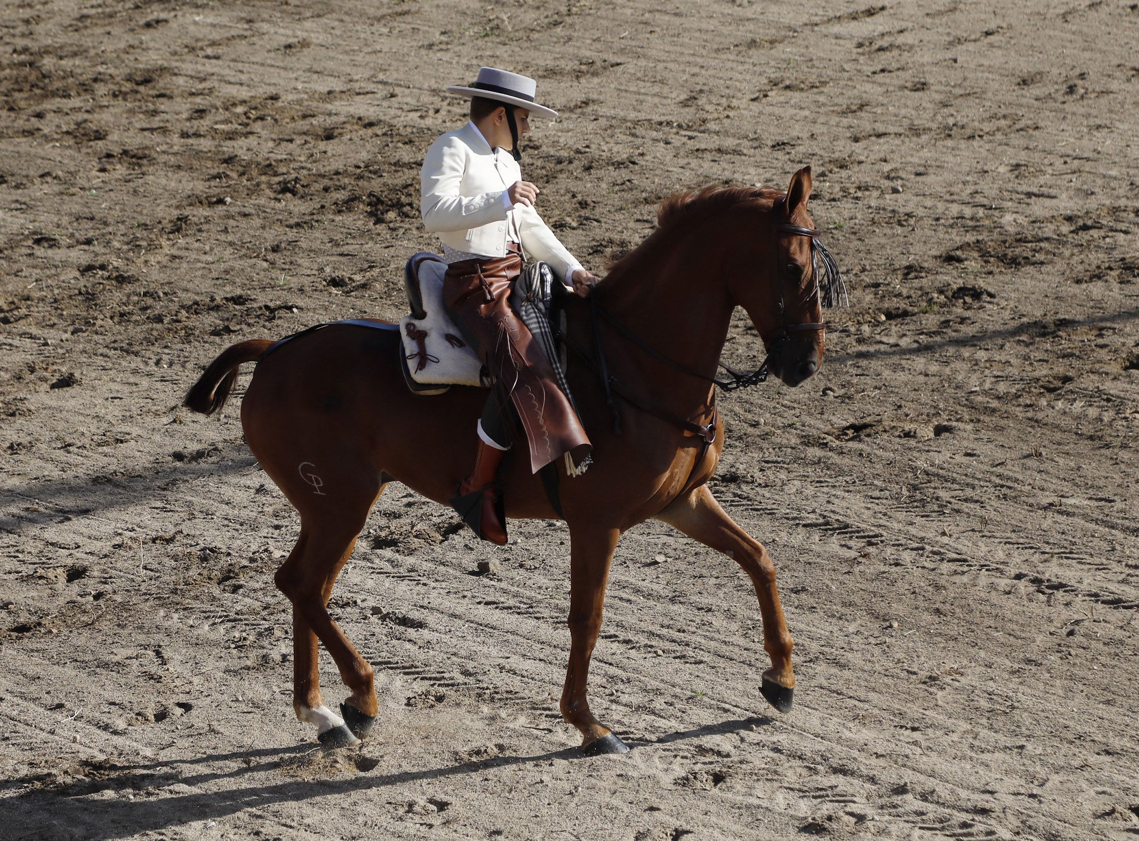 Feria del Caballo Sábado 10